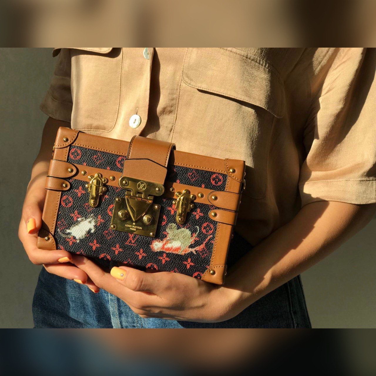Louis Vuitton bag