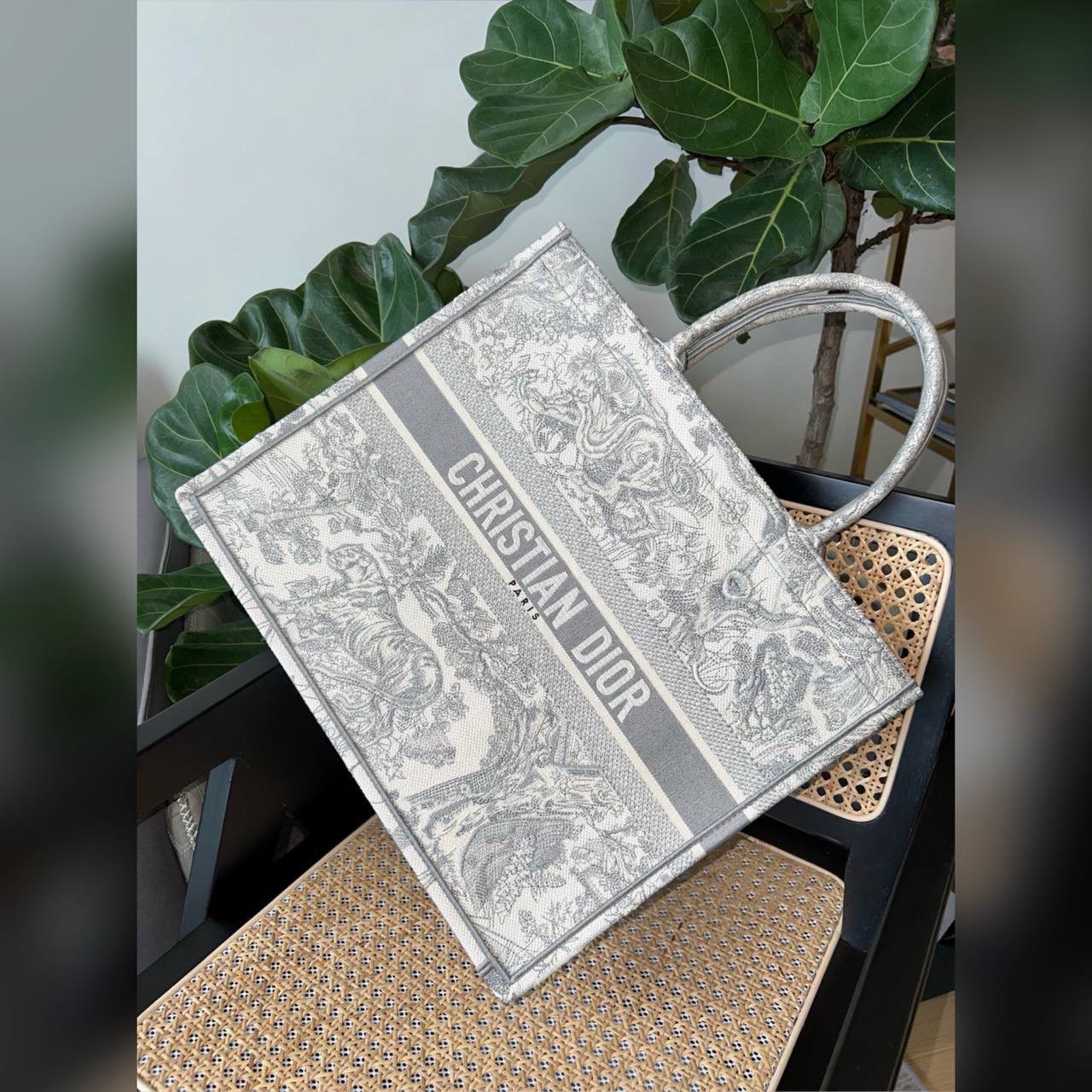 Christian Dior bag