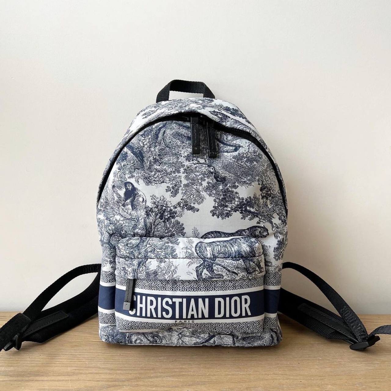 Christian Dior bag