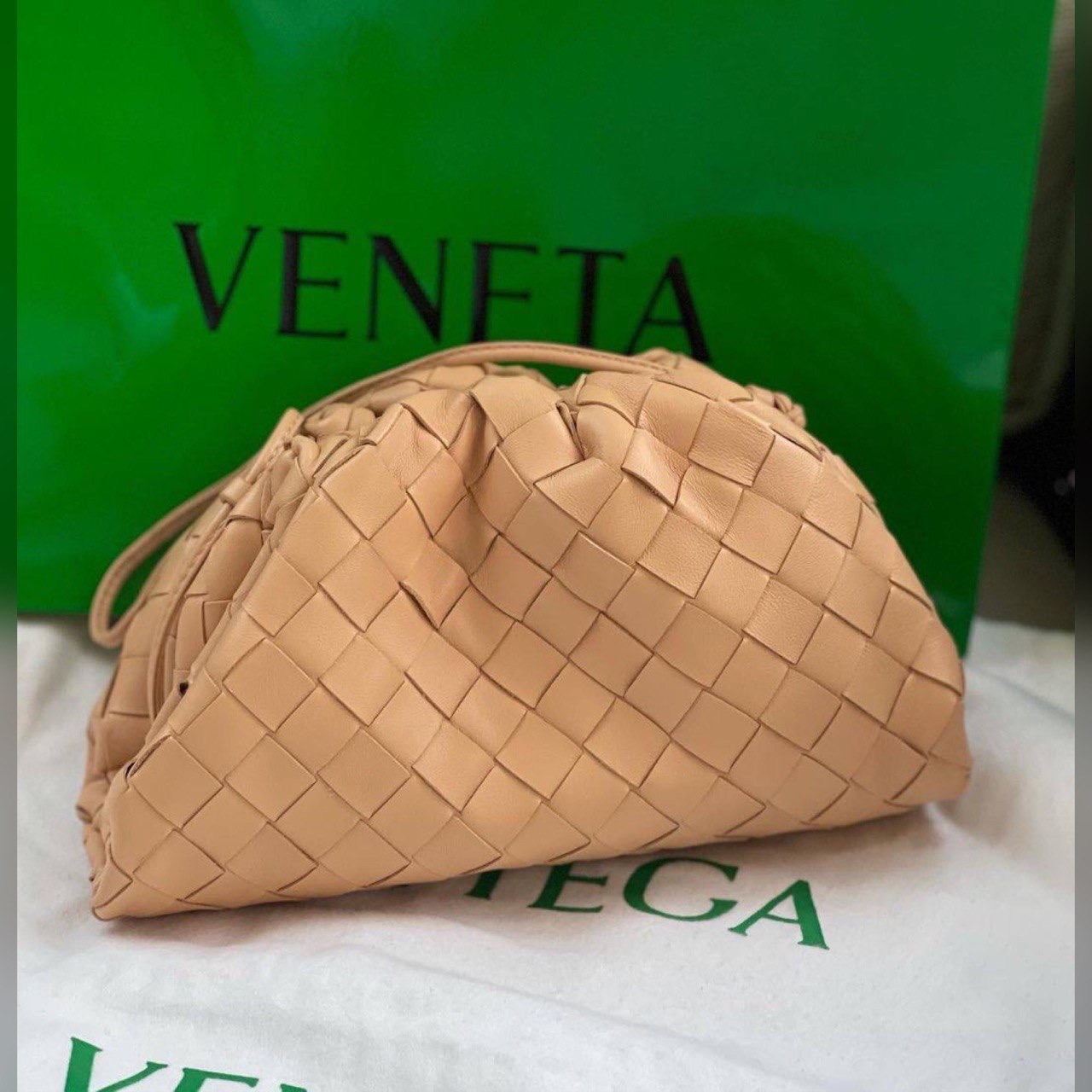 Bottega Veneta bag