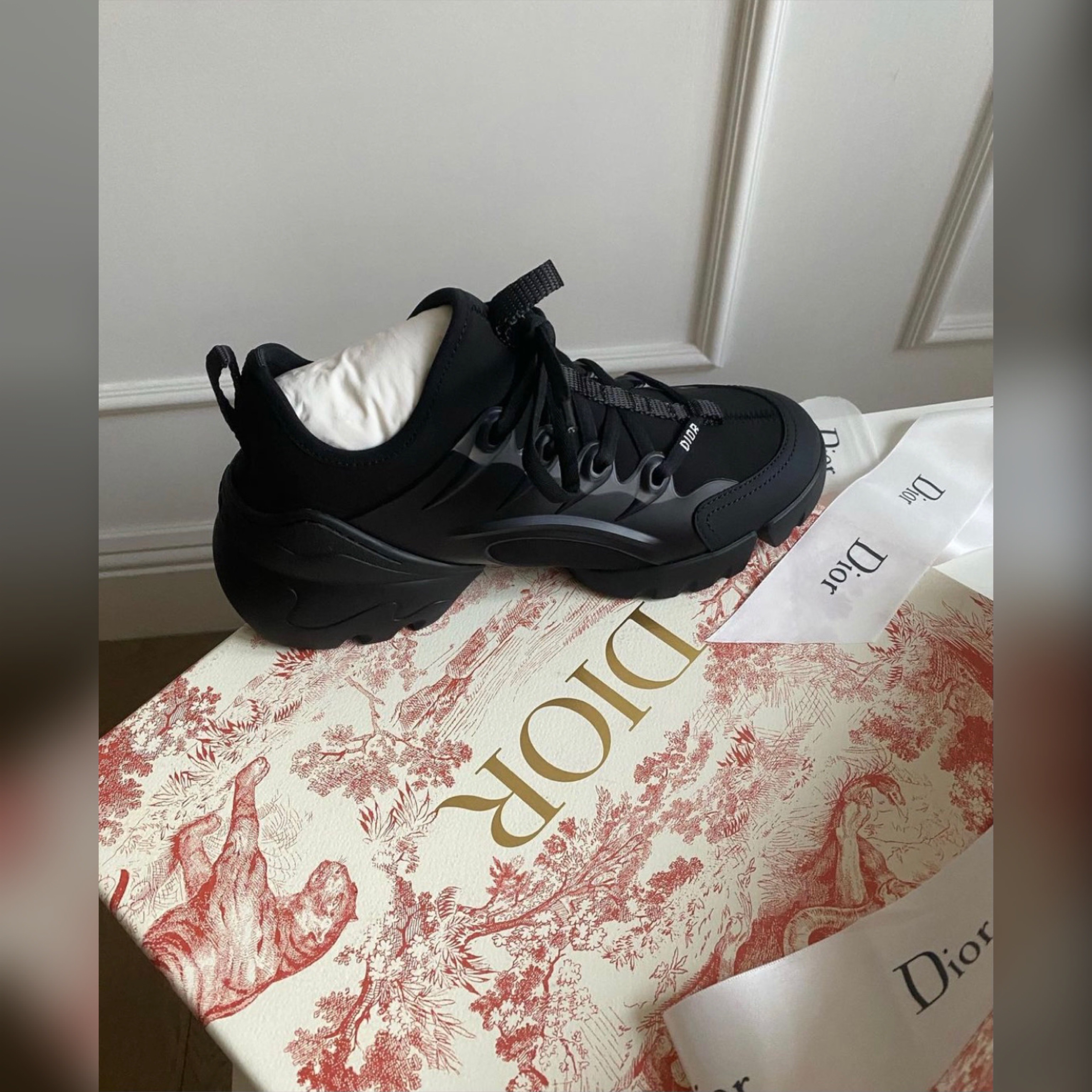 Christian Dior shoes