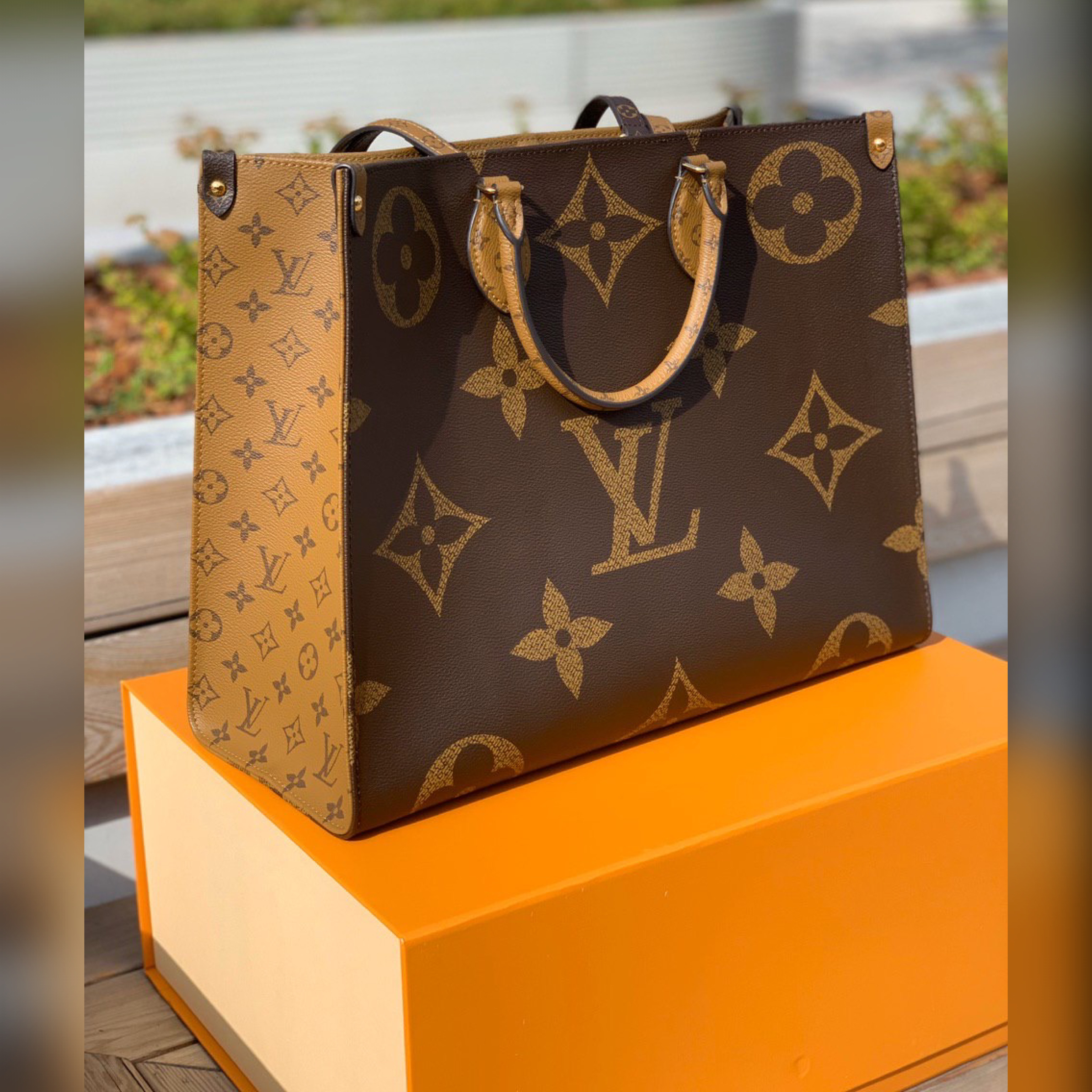 Louis Vuitton bags