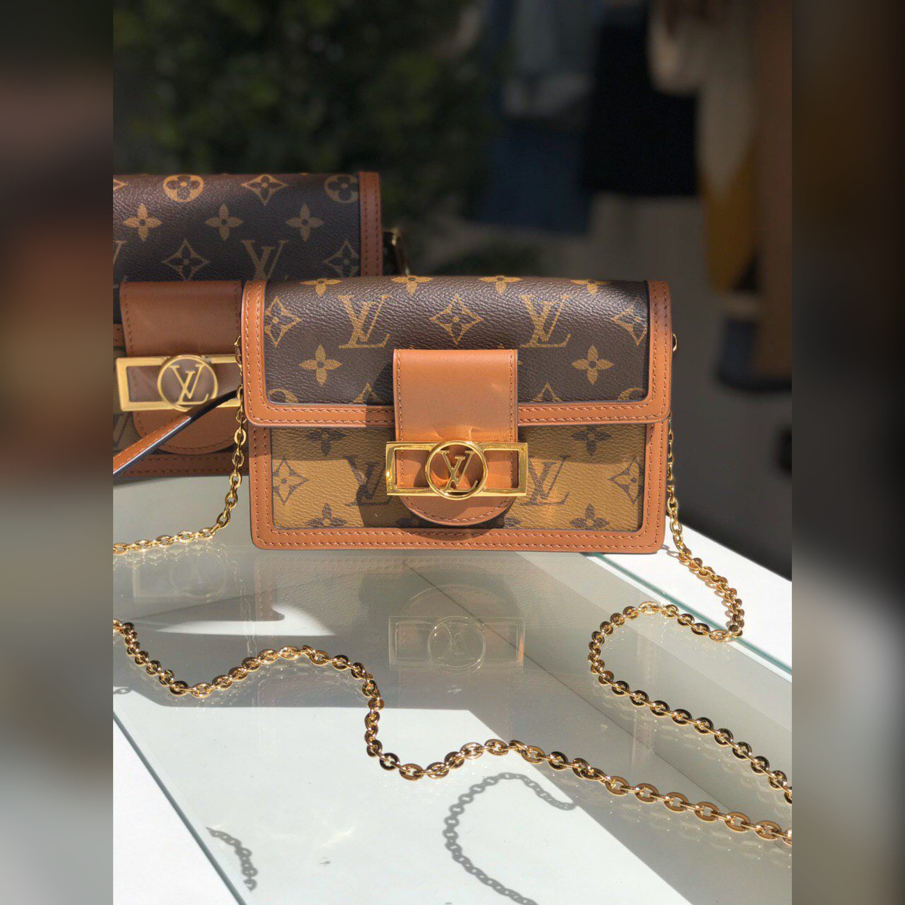 Louis Vuitton bags