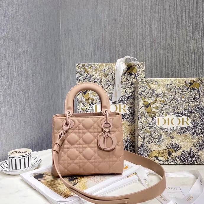 Christian Dior bag