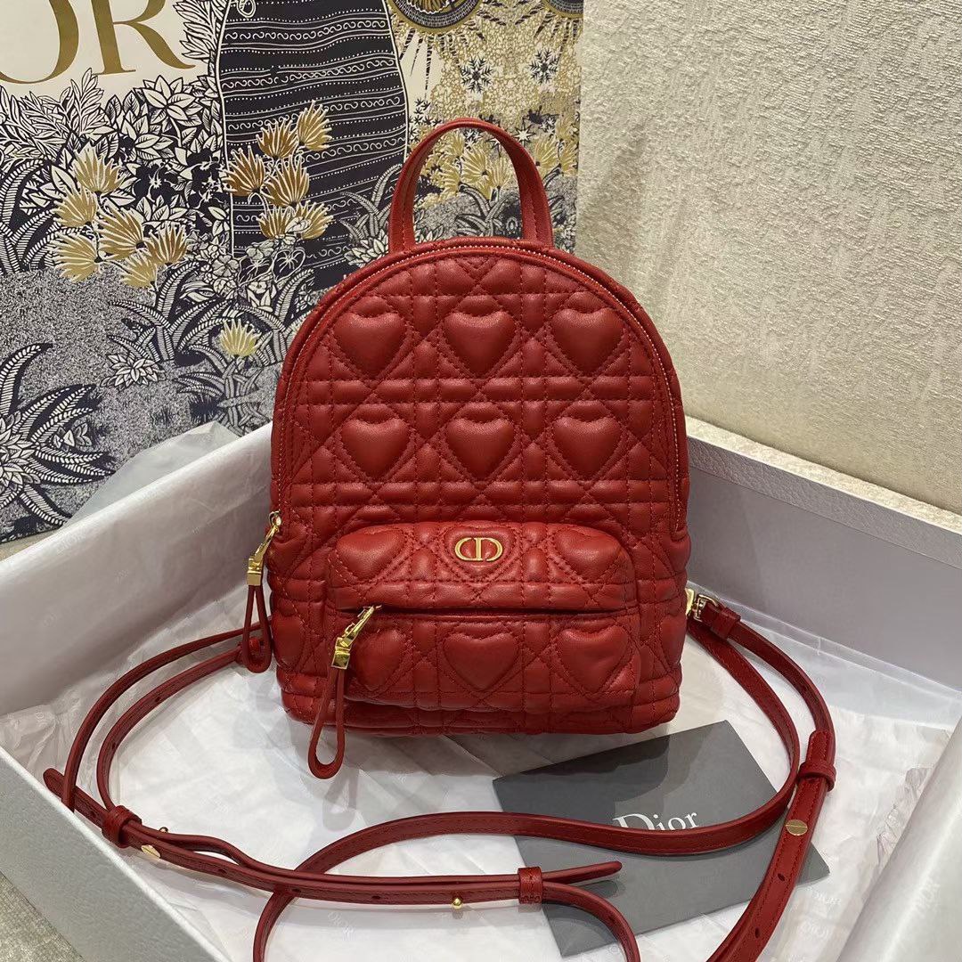 Christian Dior bag