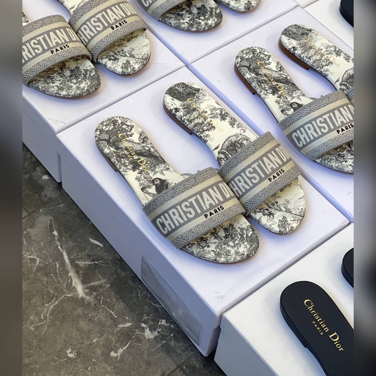 Christian Dior shoes