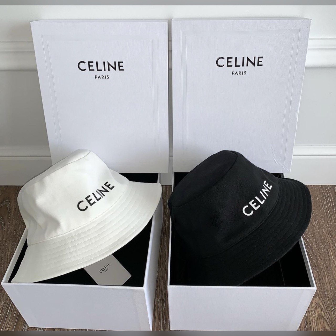 Celine accessories