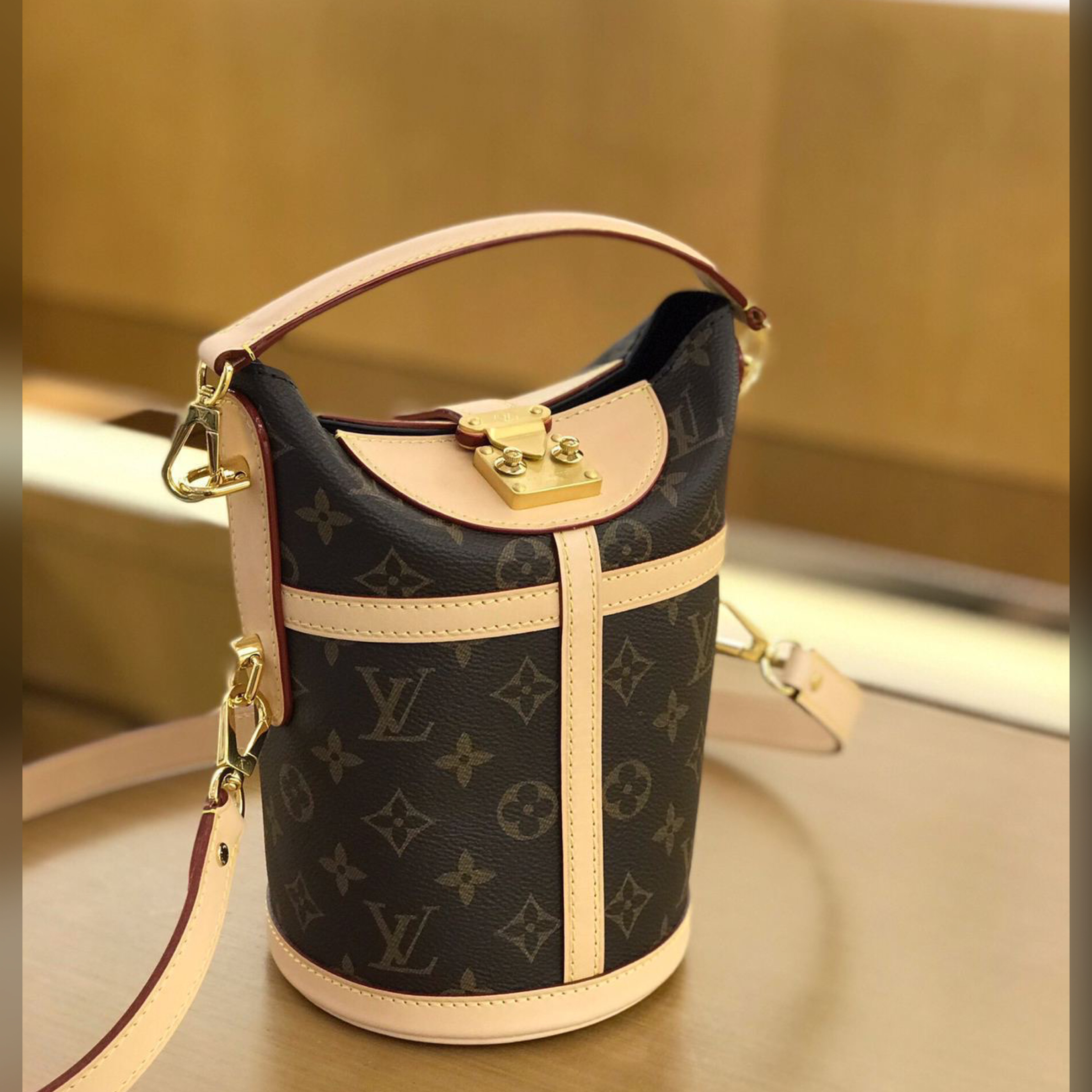 Louis Vuitton bag