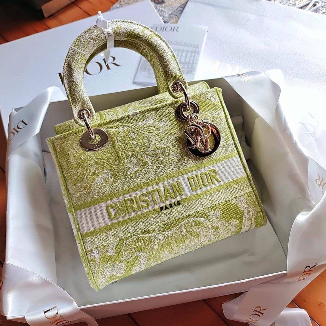 Christian Dior bag
