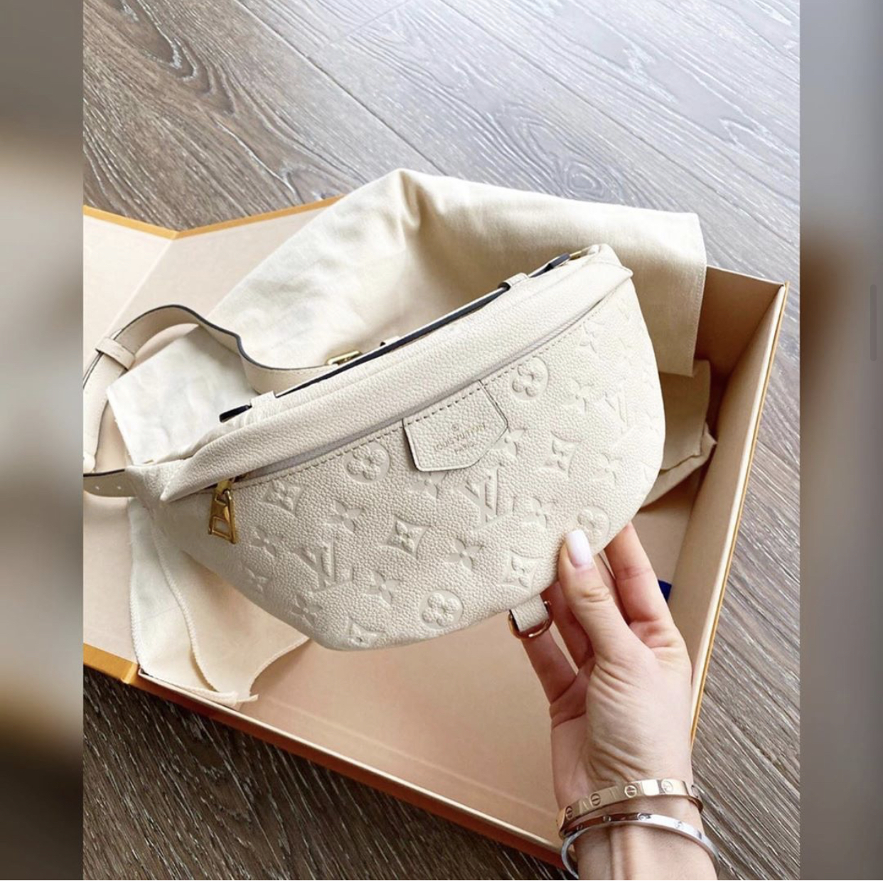 Louis Vuitton bag