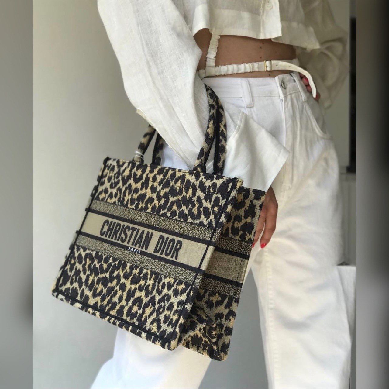 Christian Dior bag