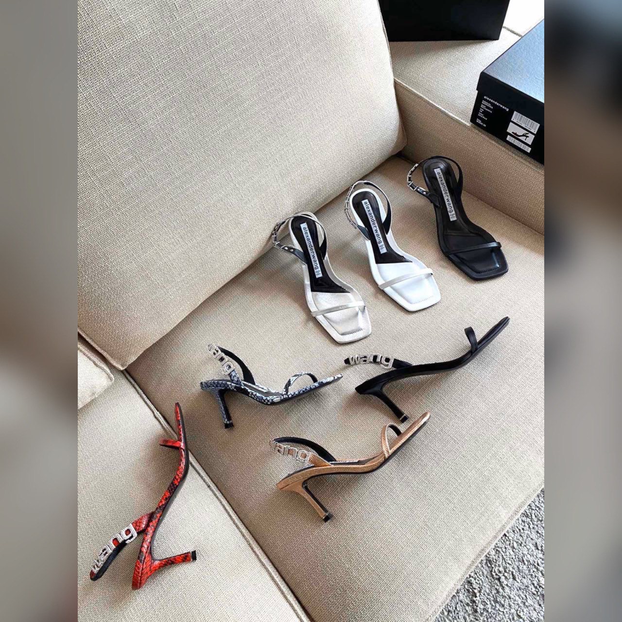 Alexander Wang shoes