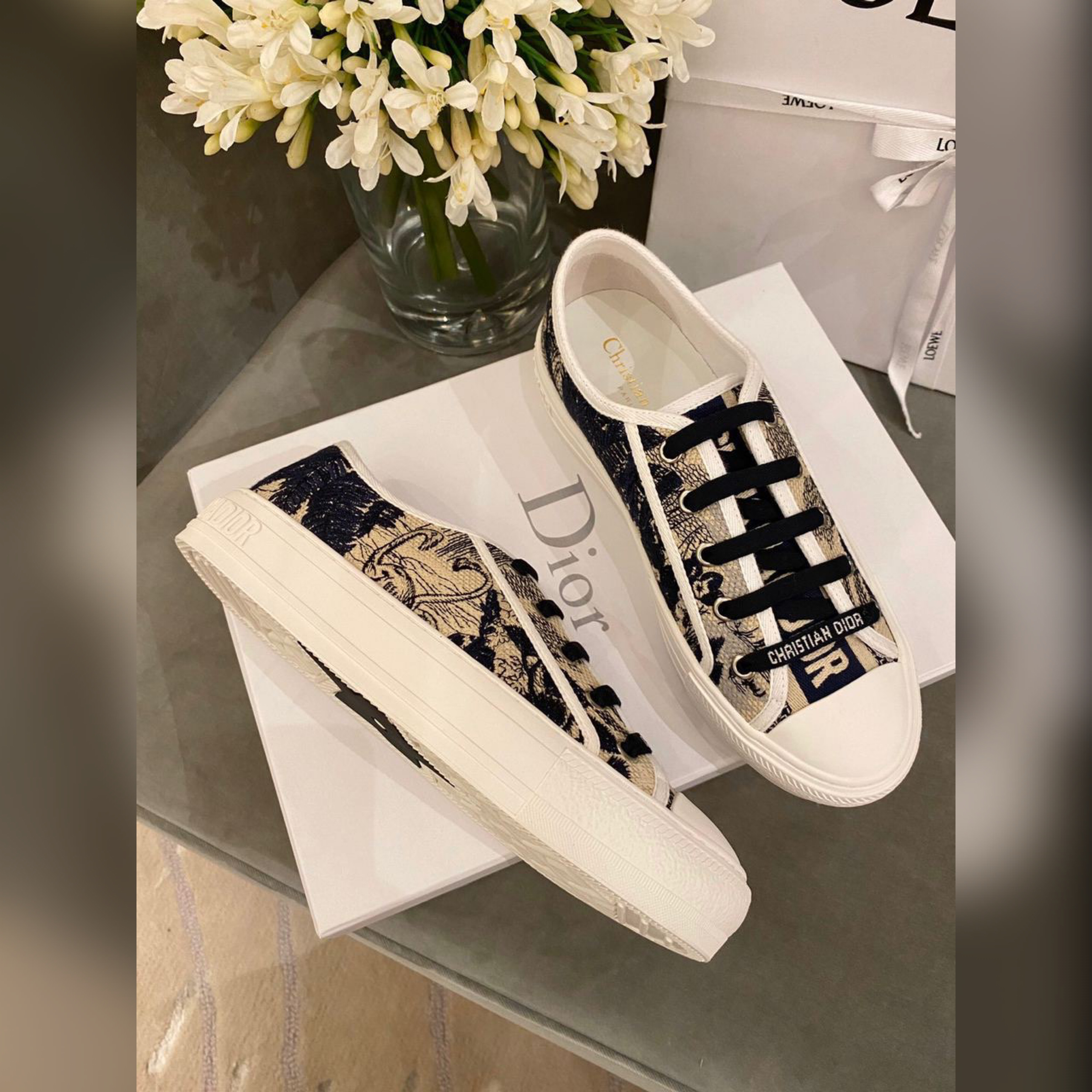 Christian Dior shoes
