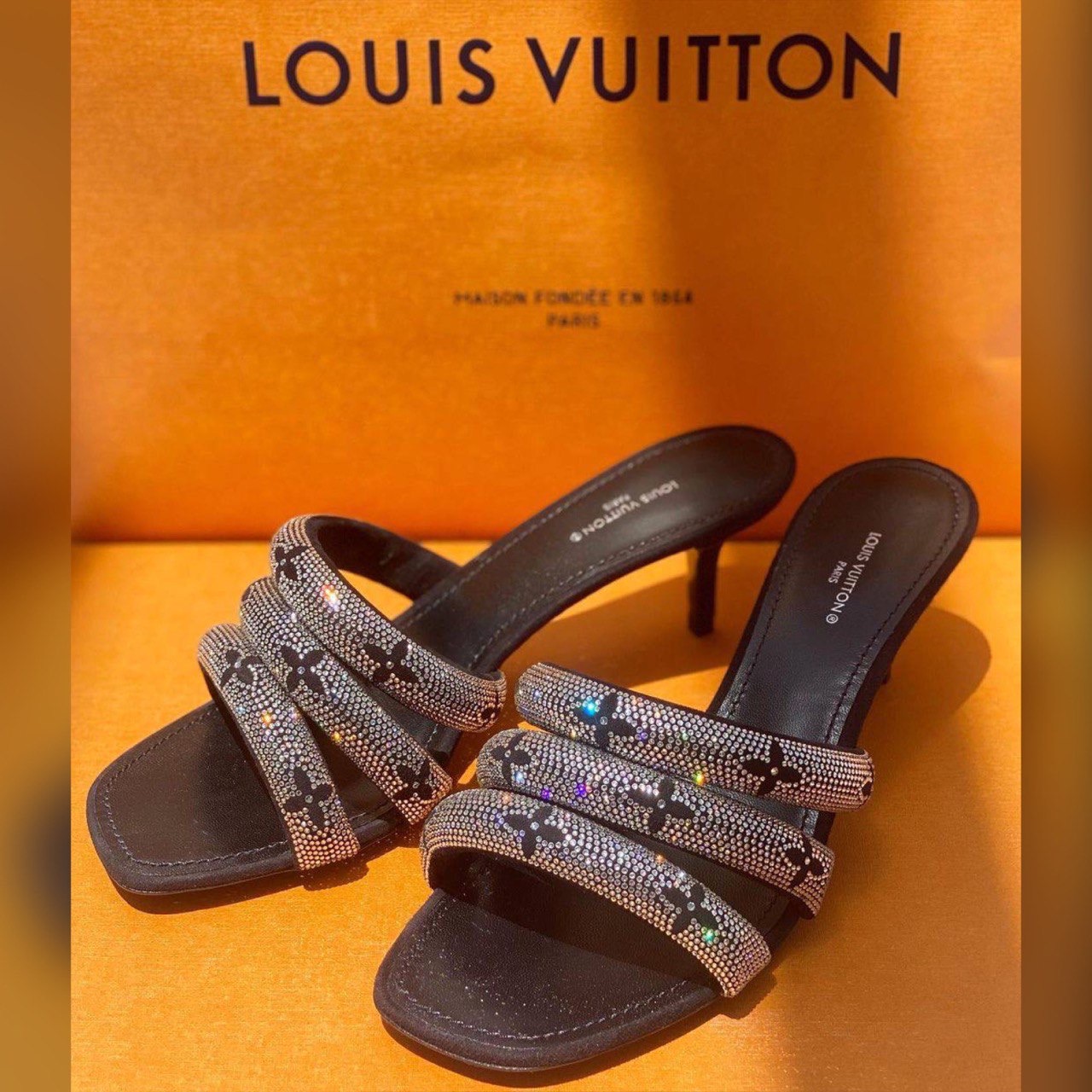 Louis Vuitton shoes