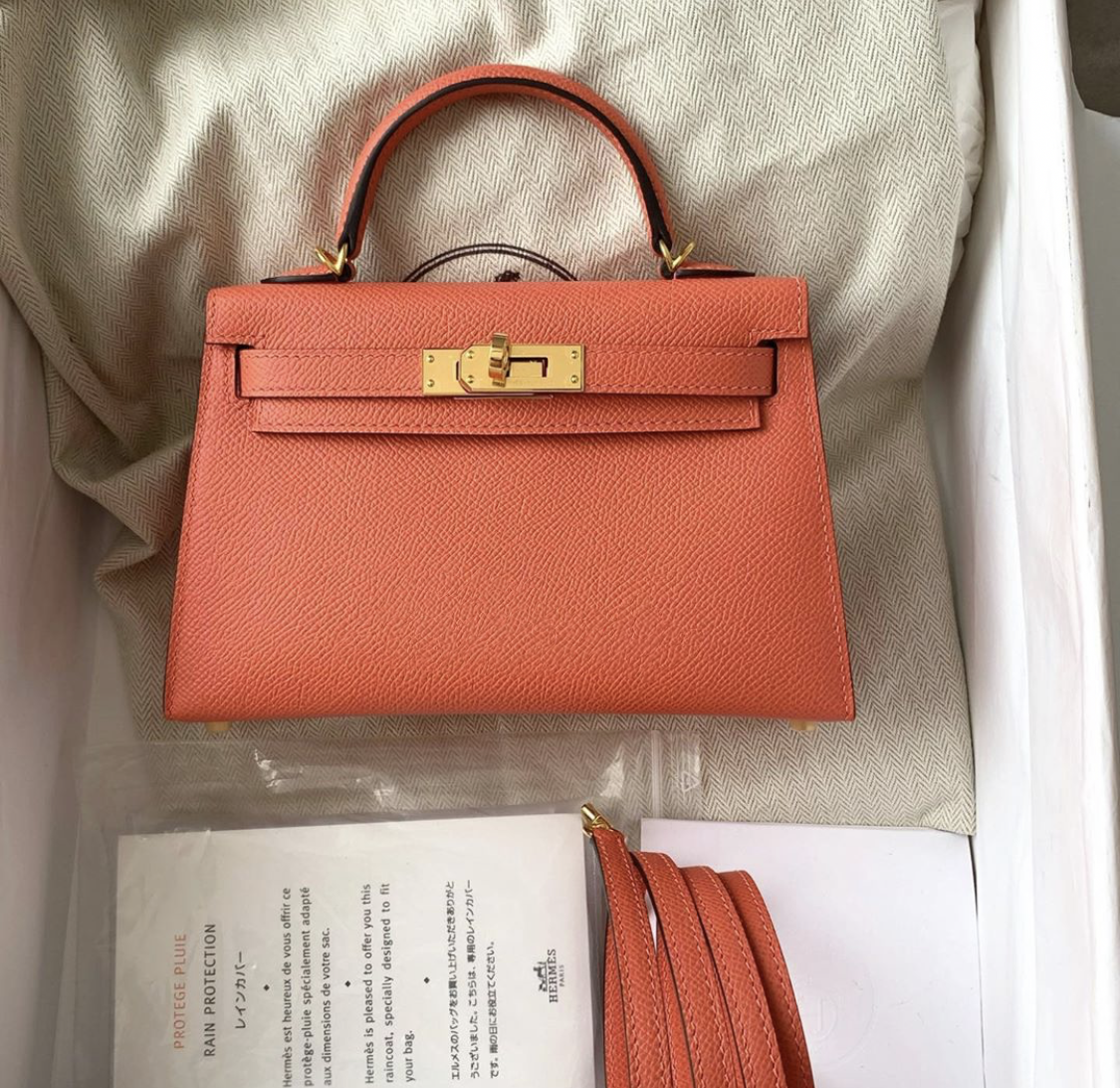 Hermès bags