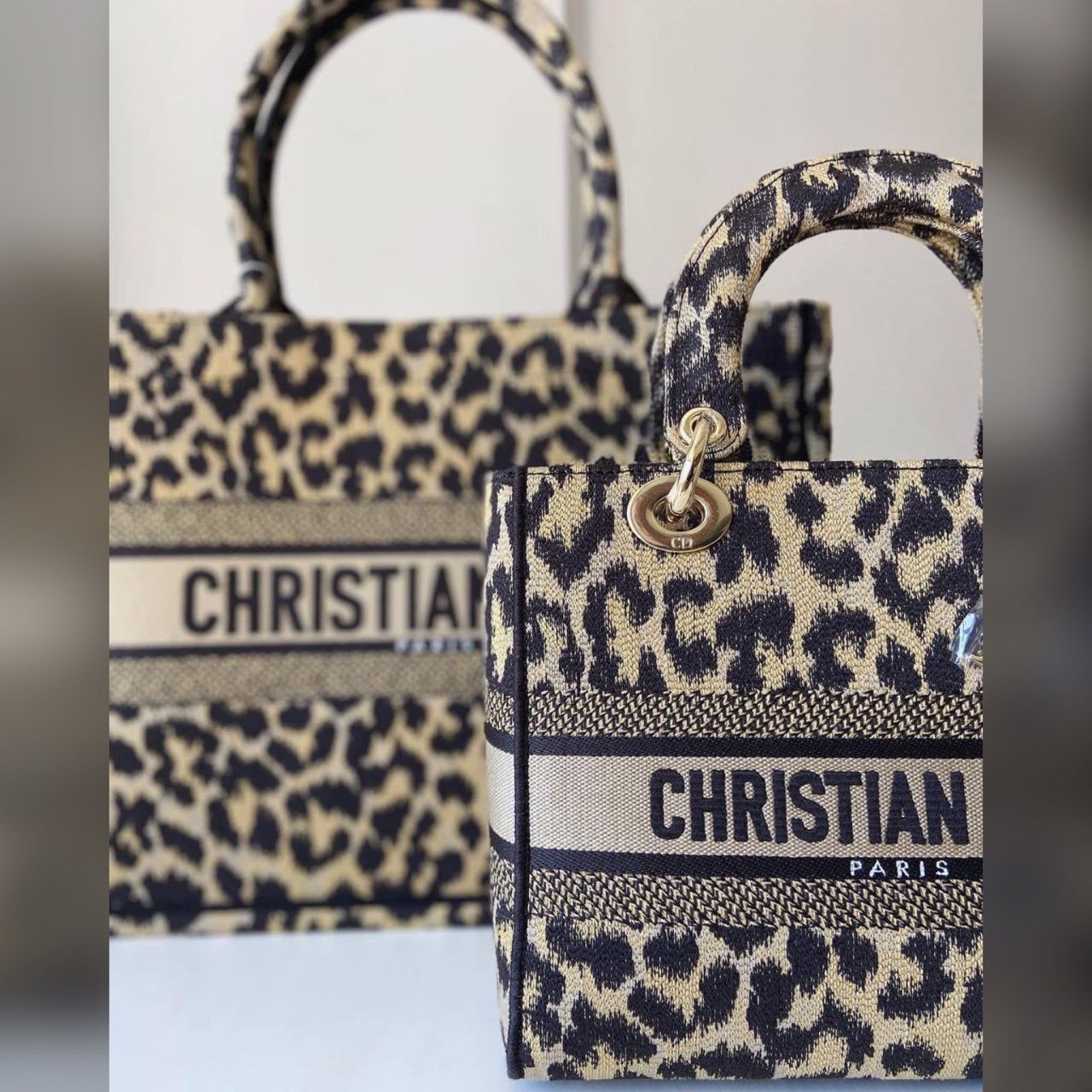 Christian Dior bag