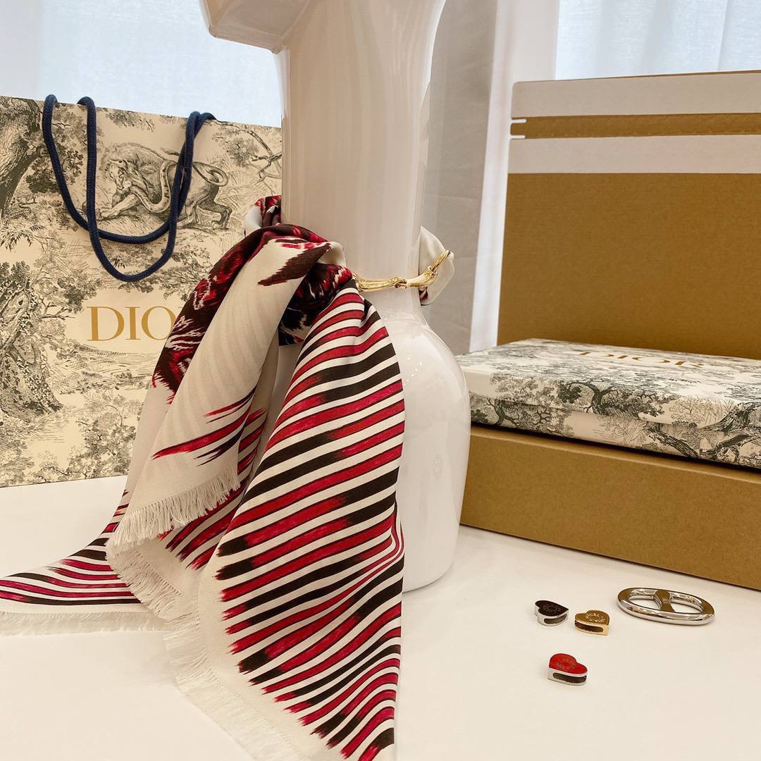 Christian Dior accessories