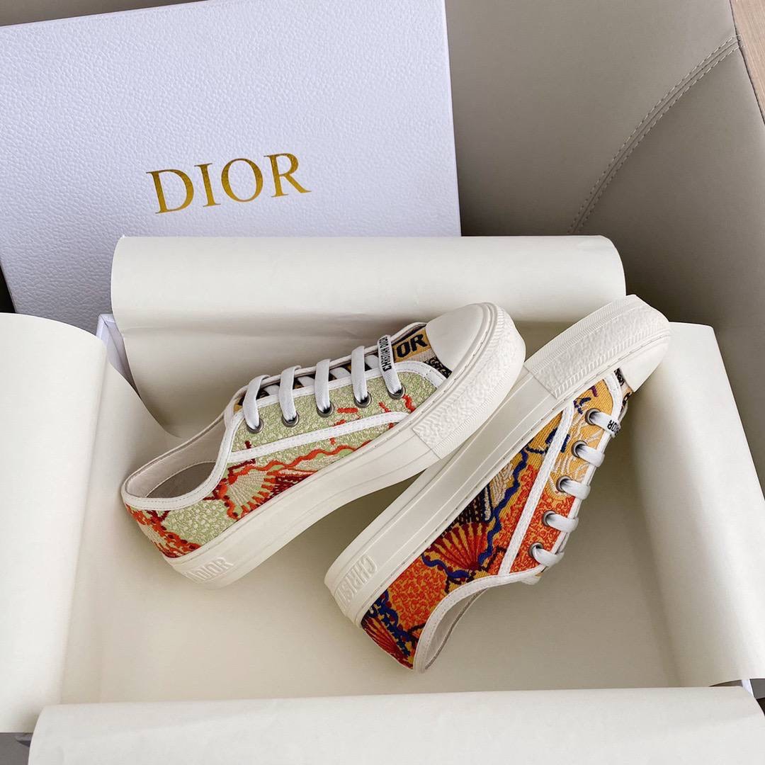 Christian Dior shoes
