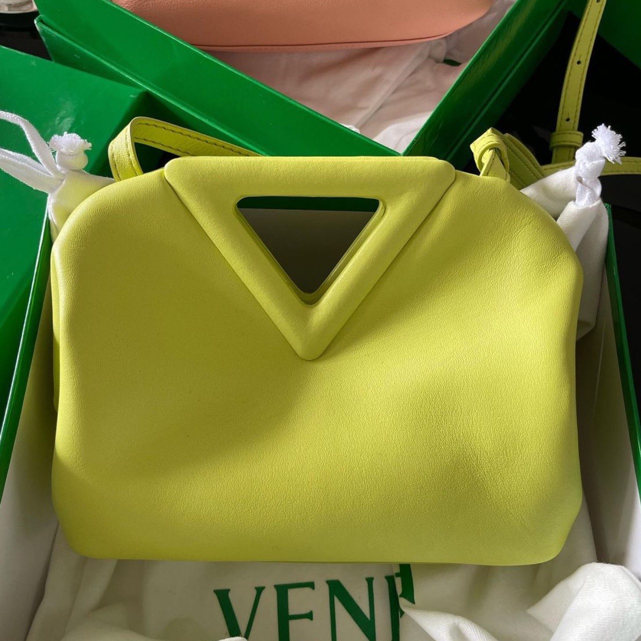 Bottega Veneta bag