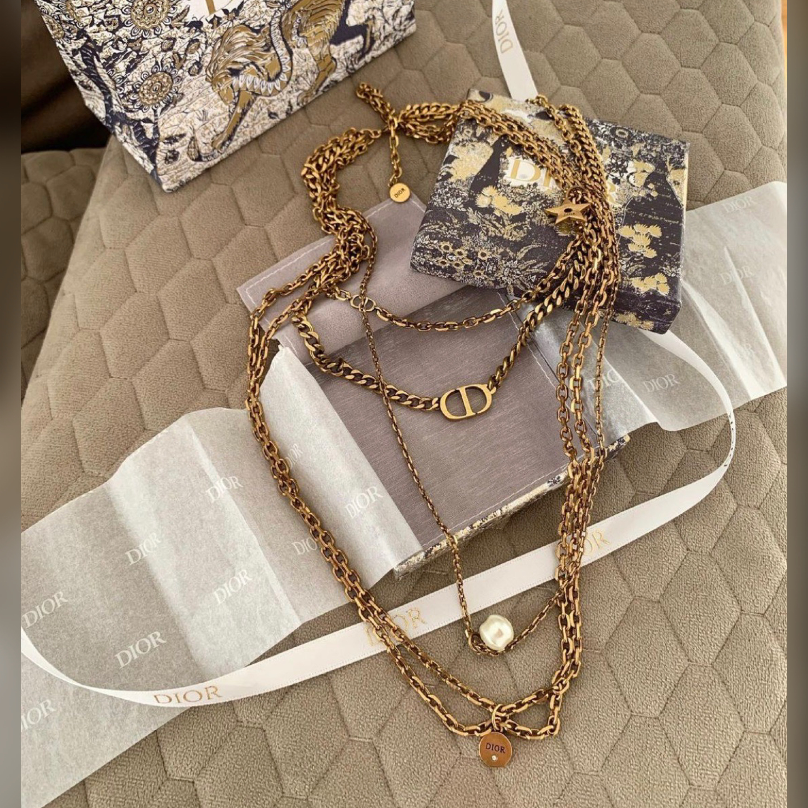 Christian Dior accessories