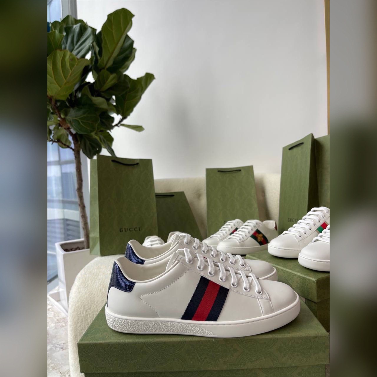 Gucci shoes