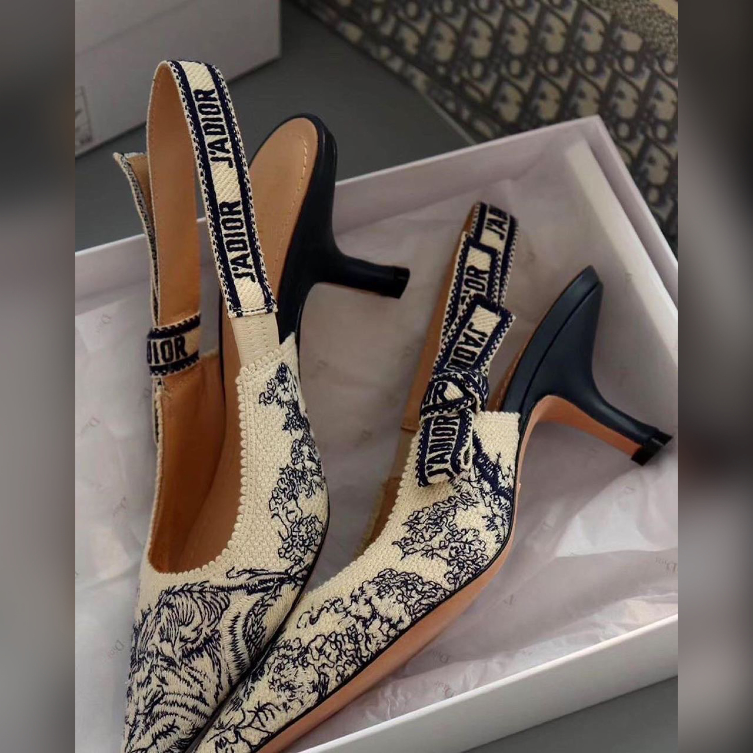 Christian Dior shoes