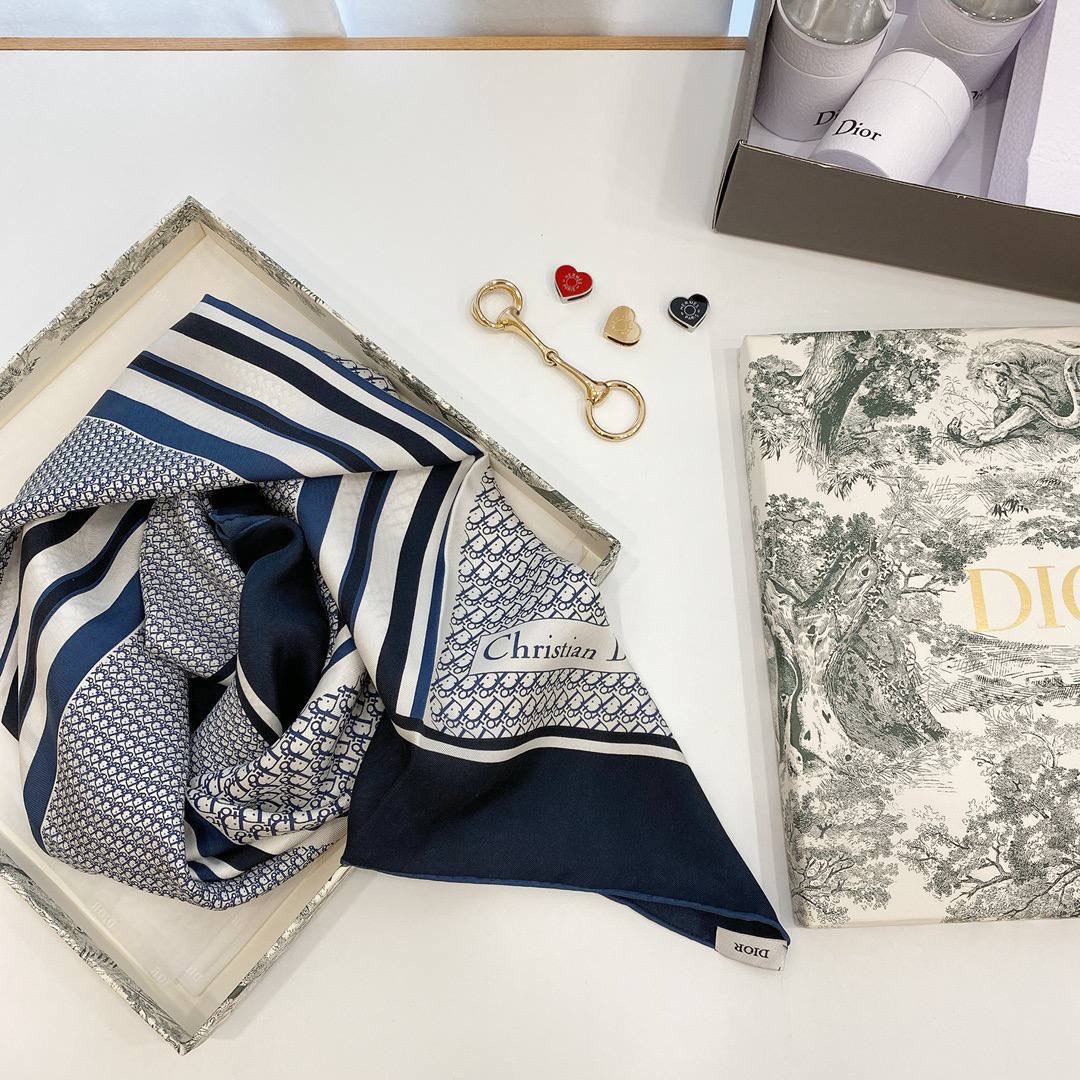 Christian Dior accessories