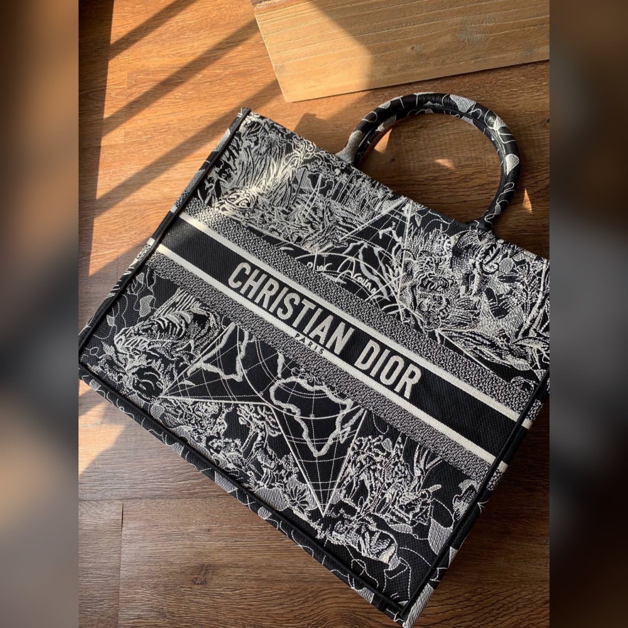 Christian Dior bag