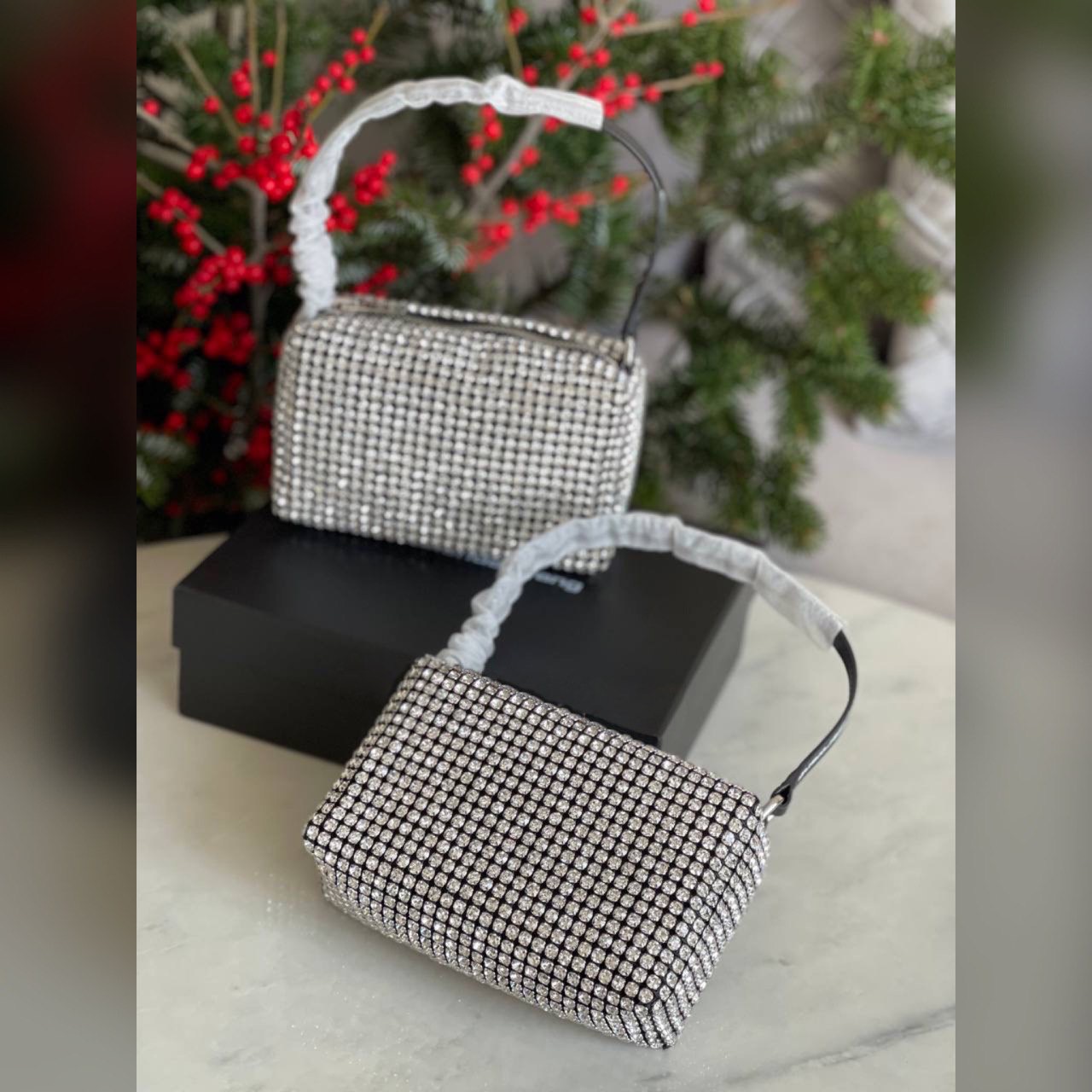 Alexander Wang bag