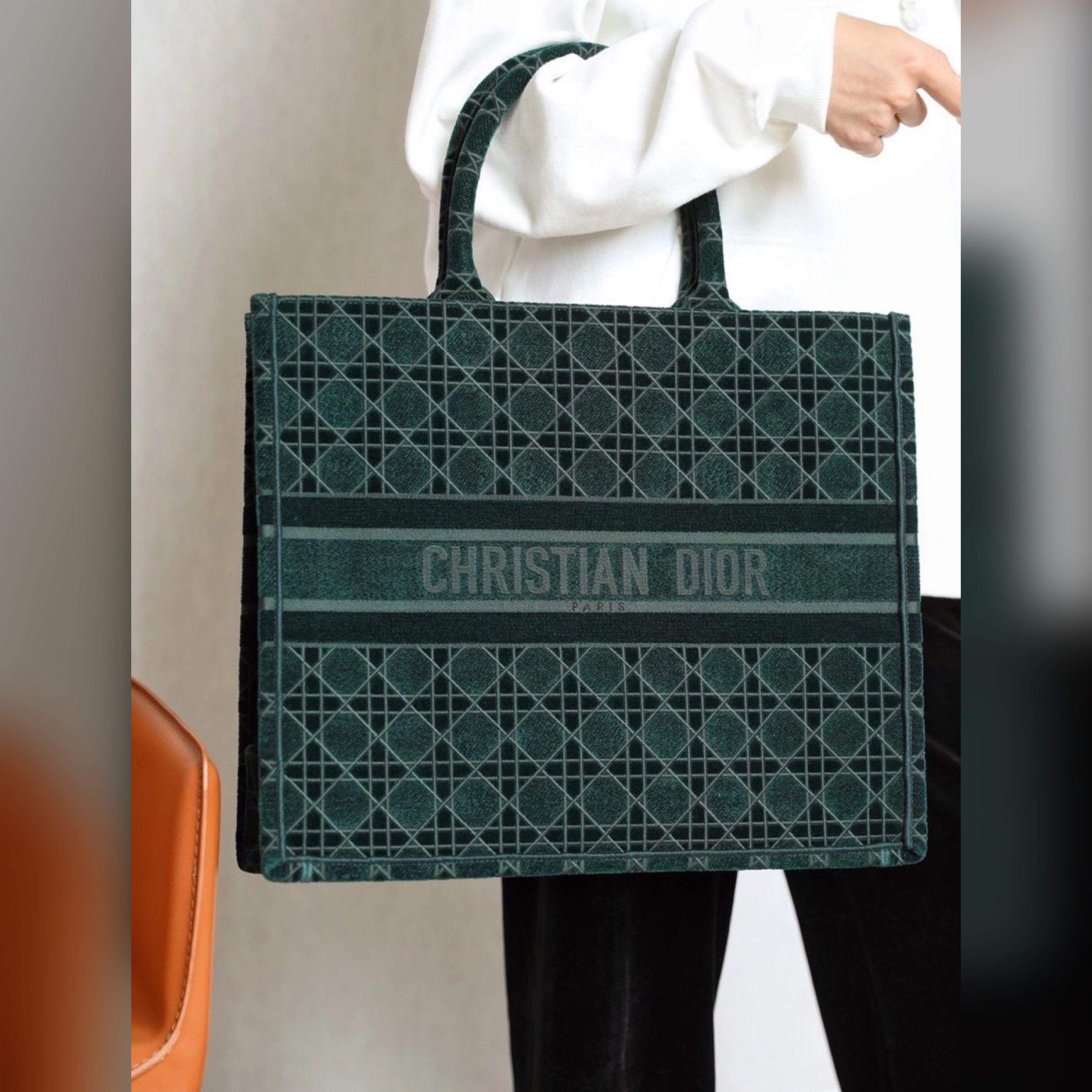 Christian Dior bag