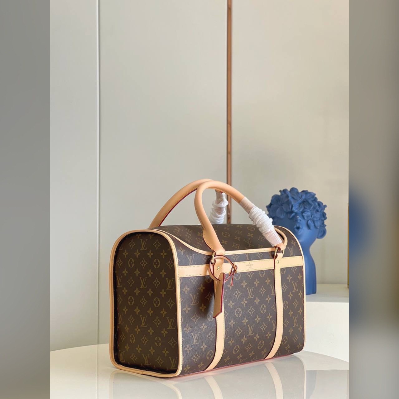 Louis Vuitton bag for pets