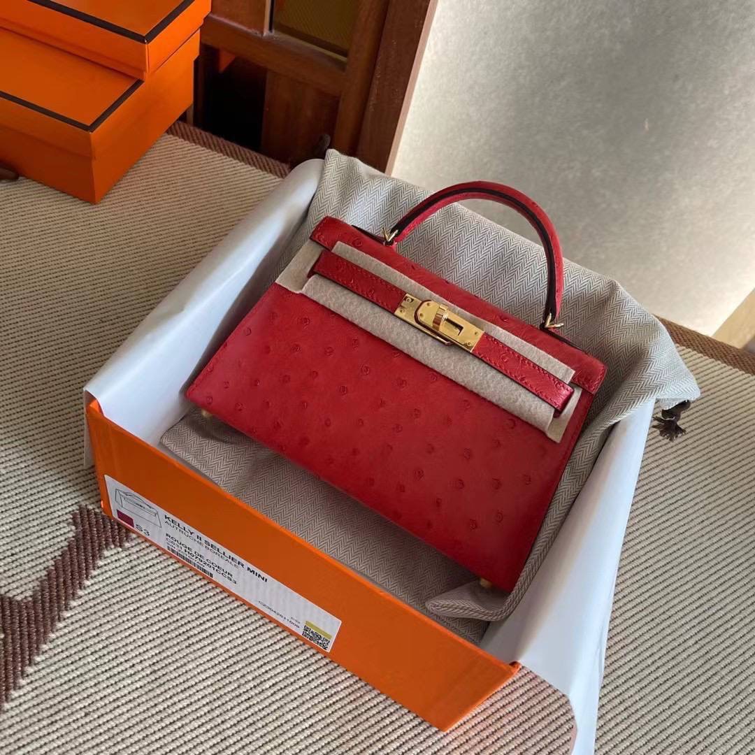 Hermes bag