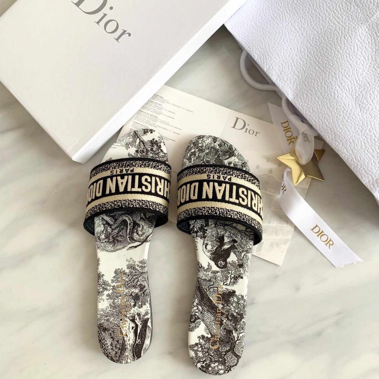 Christian Dior shoes