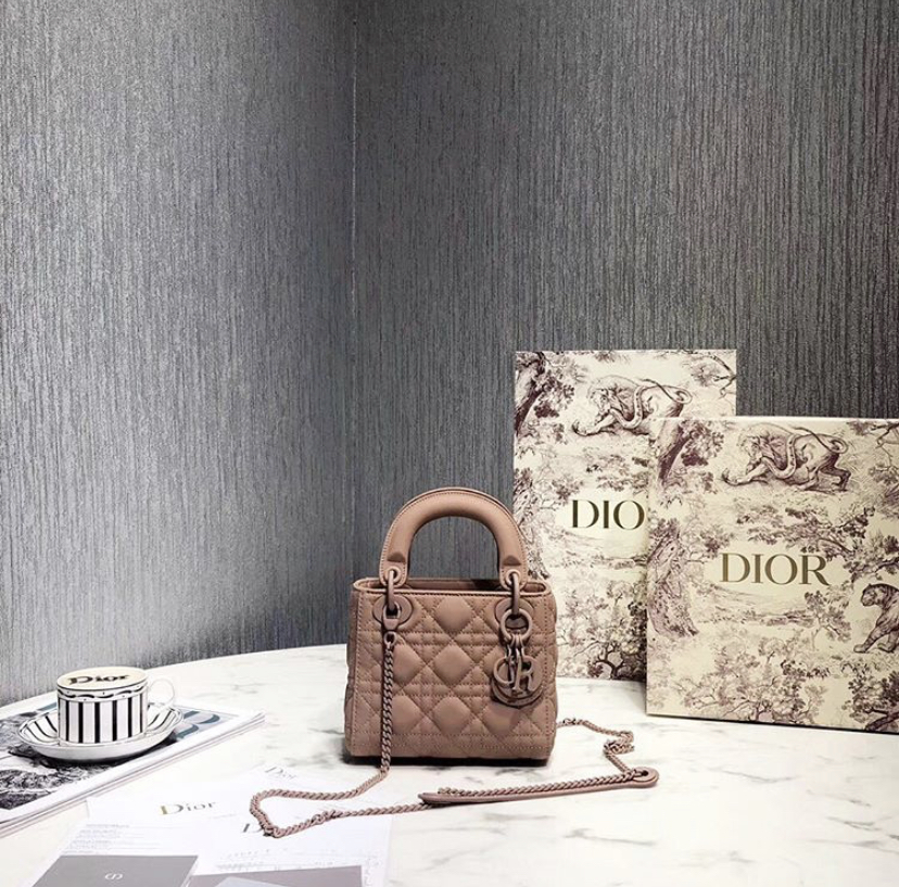 Christian Dior bag