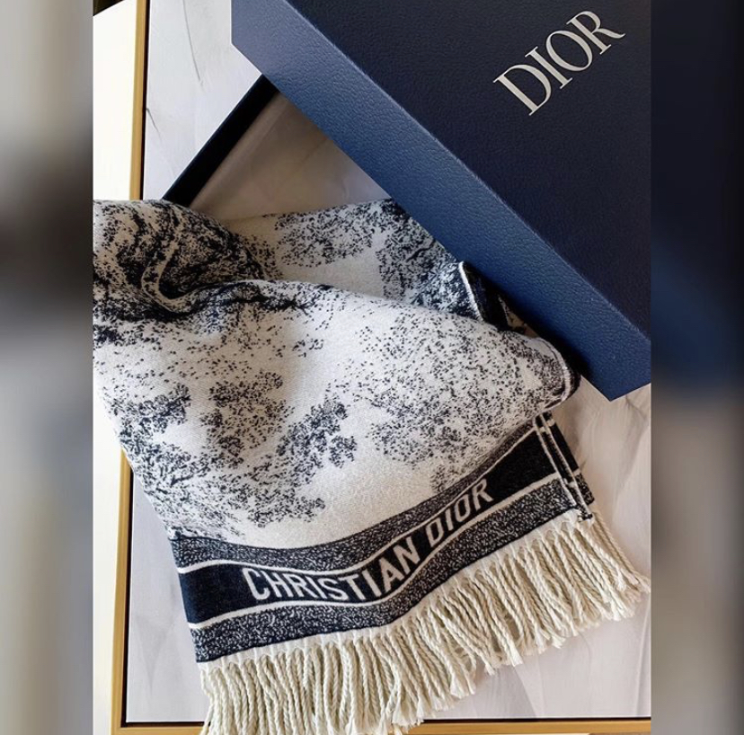 Christian Dior accessories