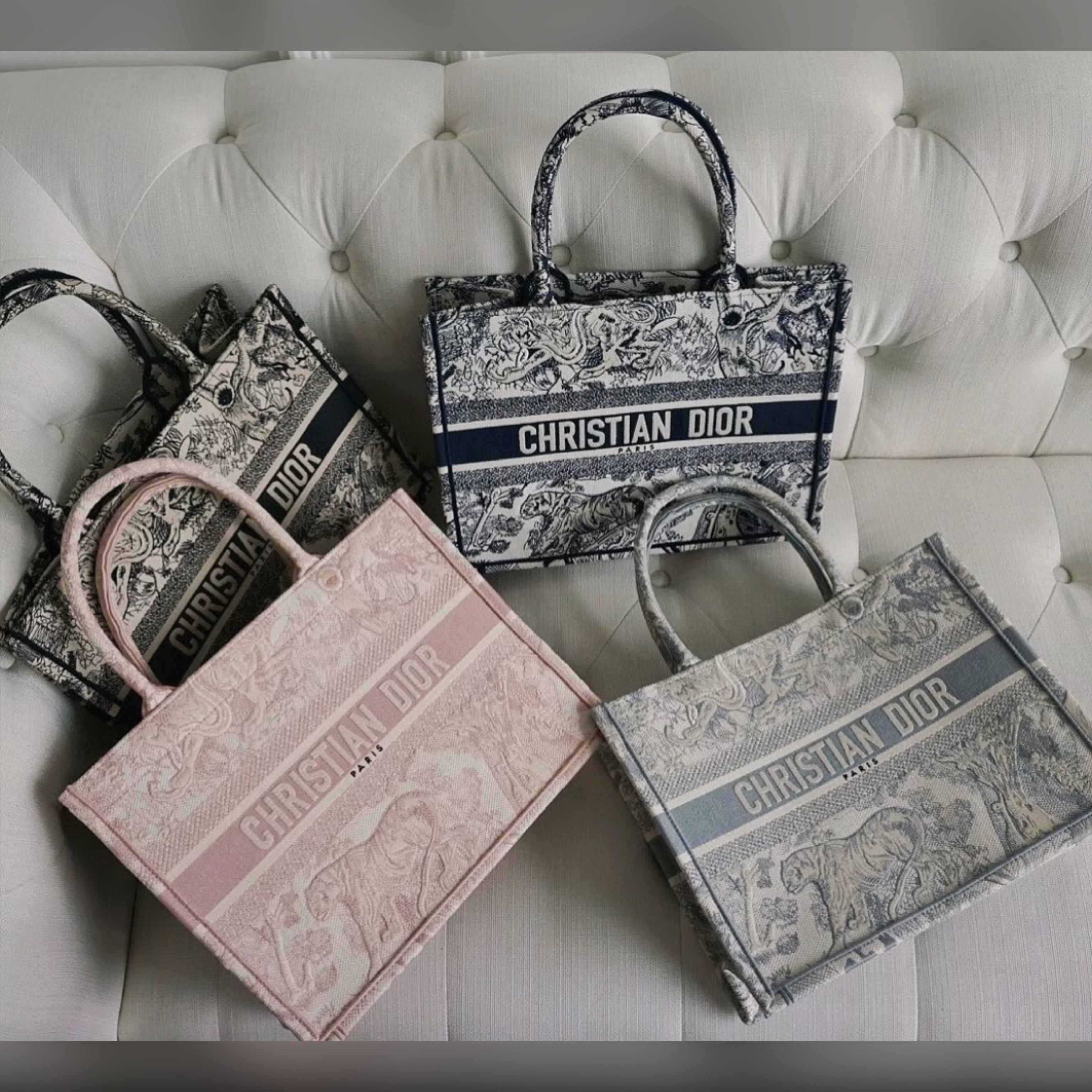 Christian Dior bags