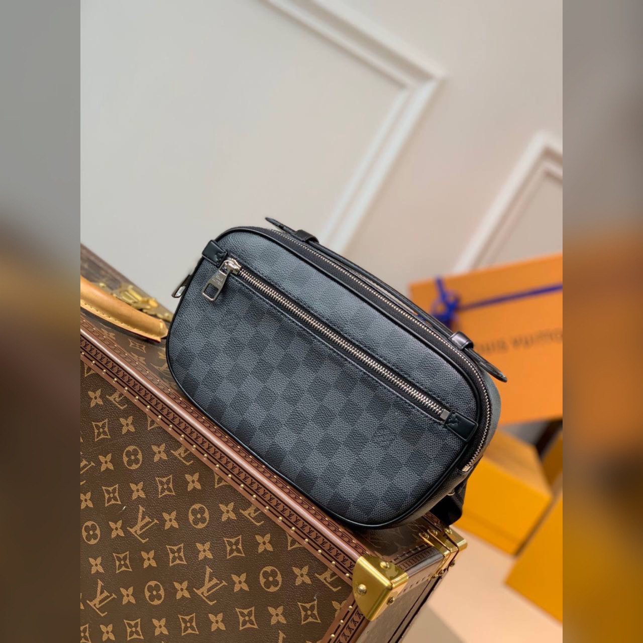 Louis Vuitton bag