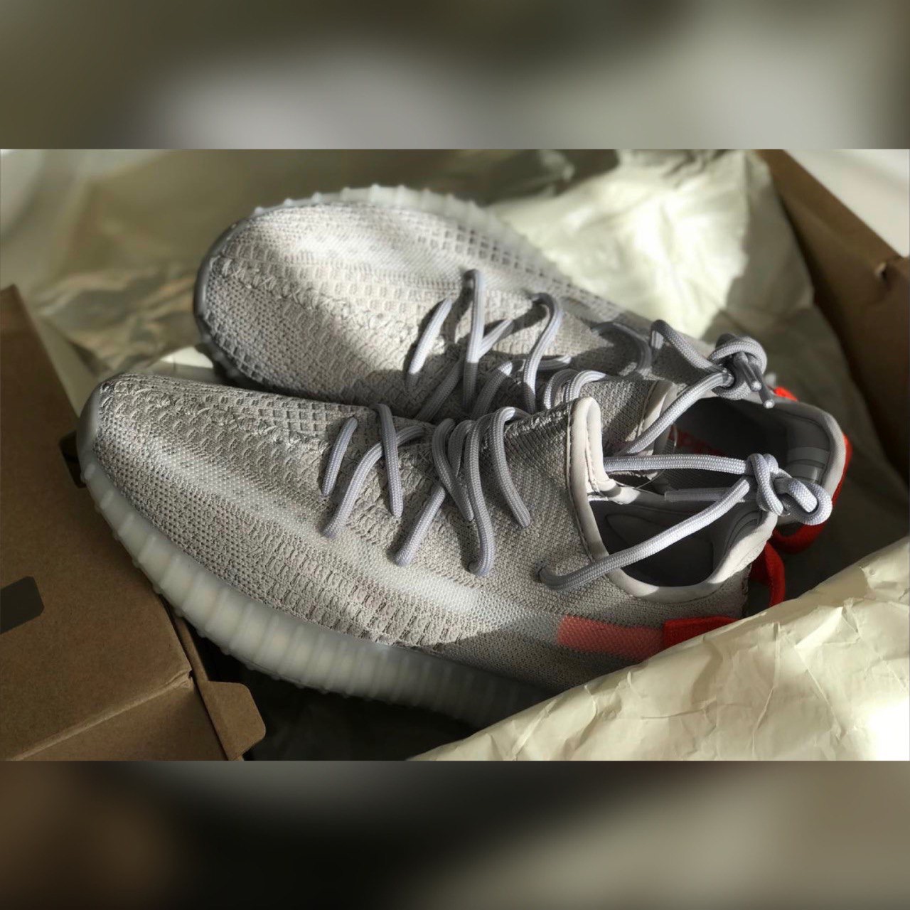 Adidas shoes