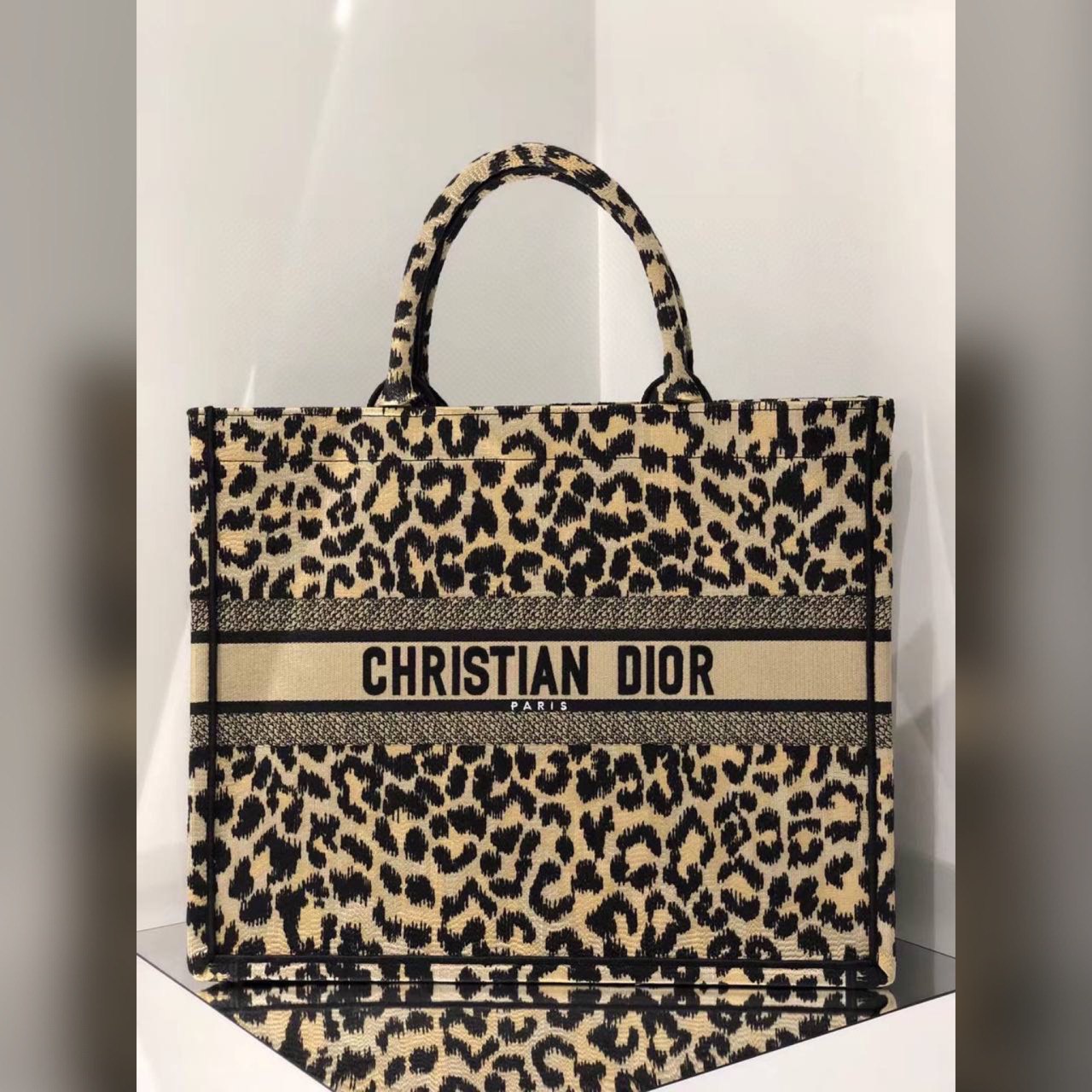Christian Dior bag