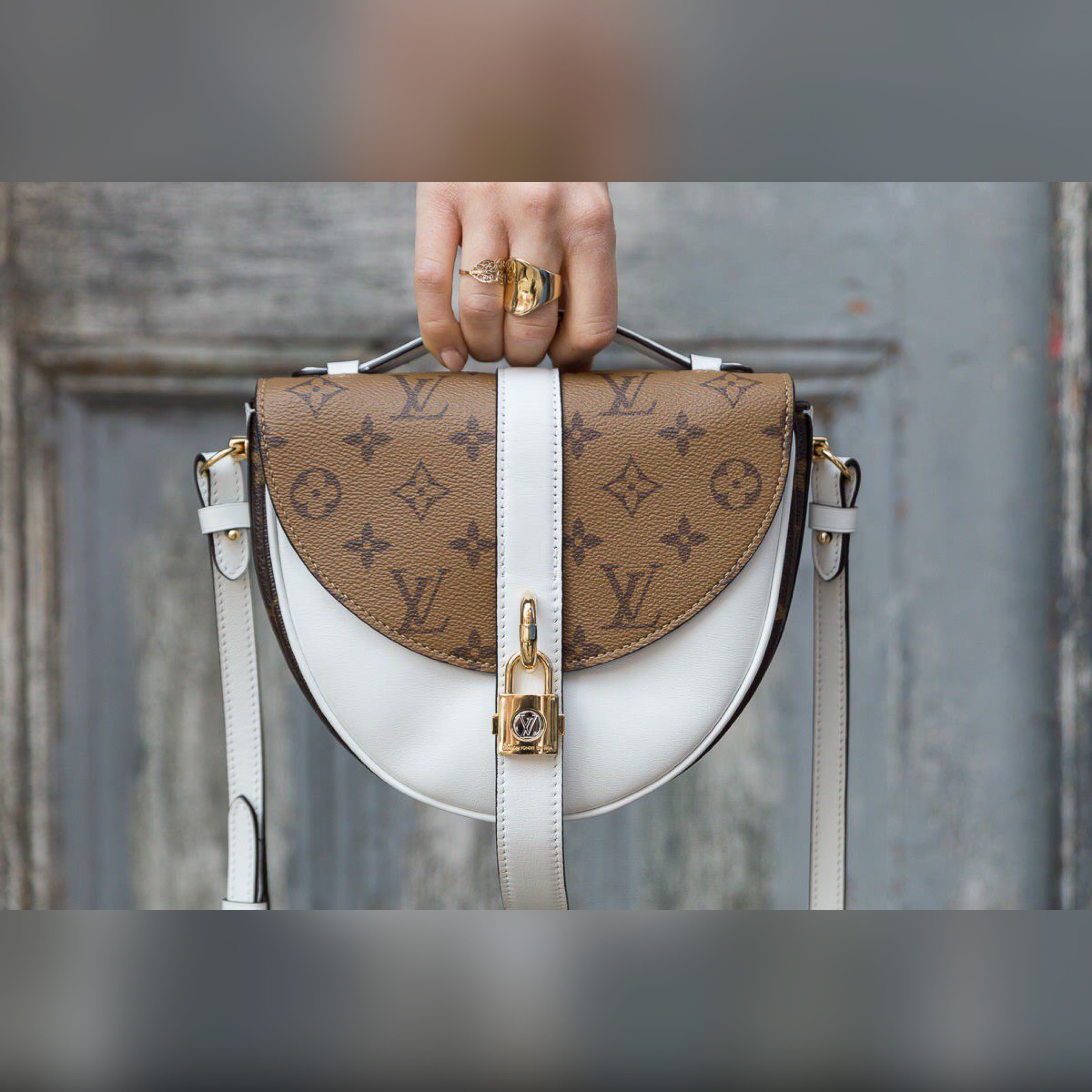 Louis Vuitton bags