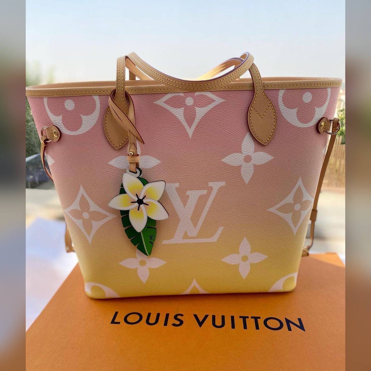 Louis Vuitton bag