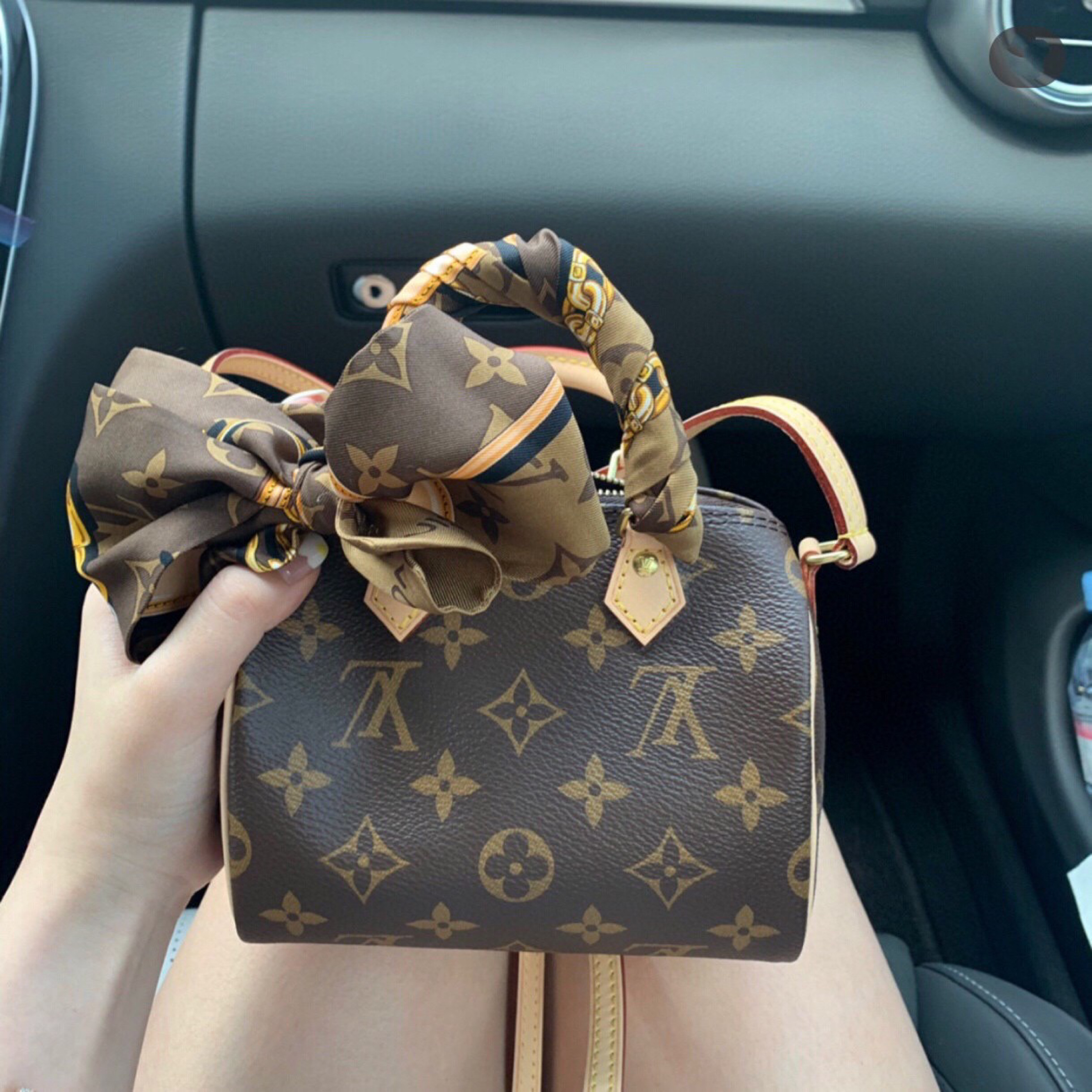 Louis Vuitton bags