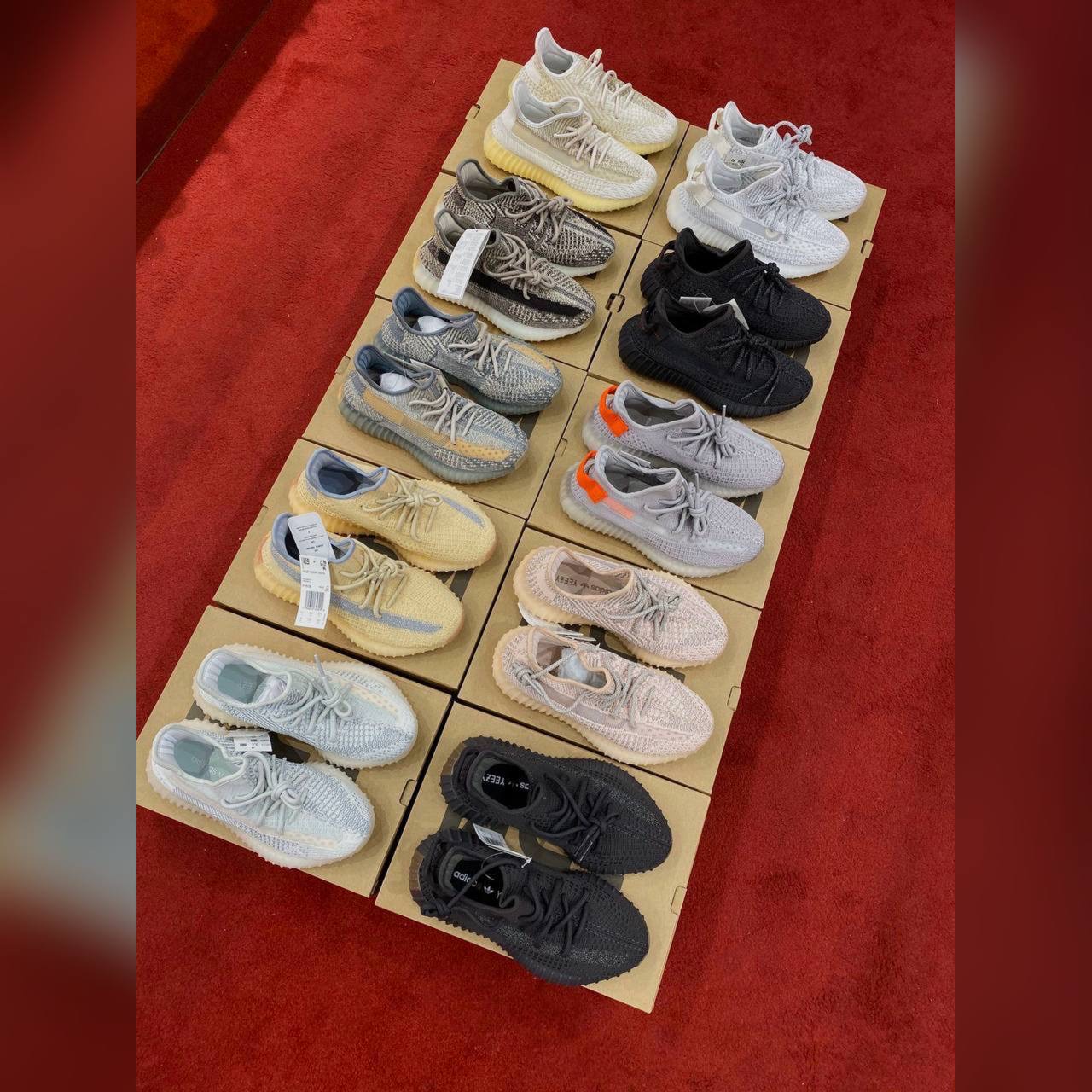 Adidas shoes