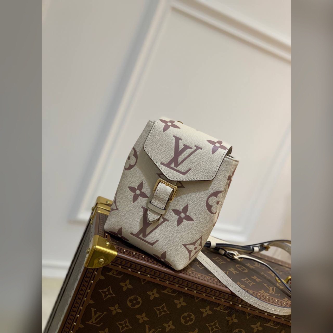 Louis Vuitton bag