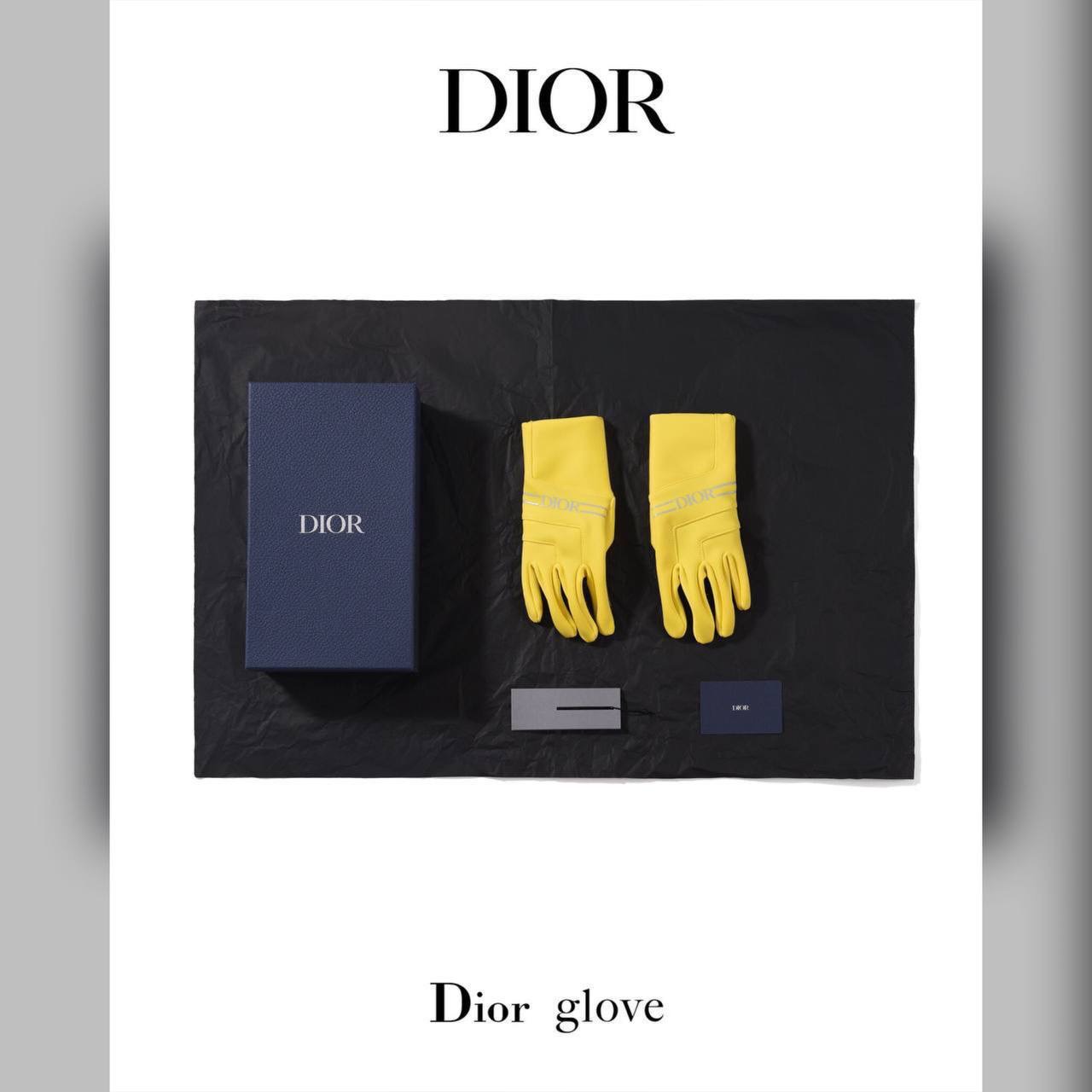 Christian Dior accessories