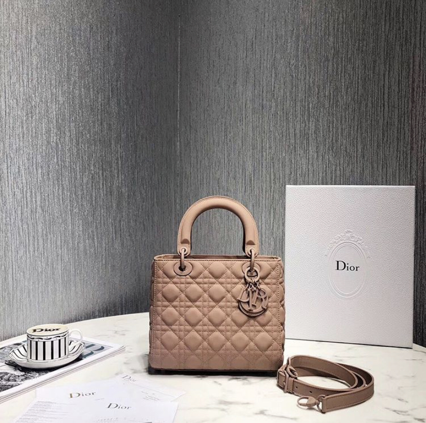 Christian Dior bag