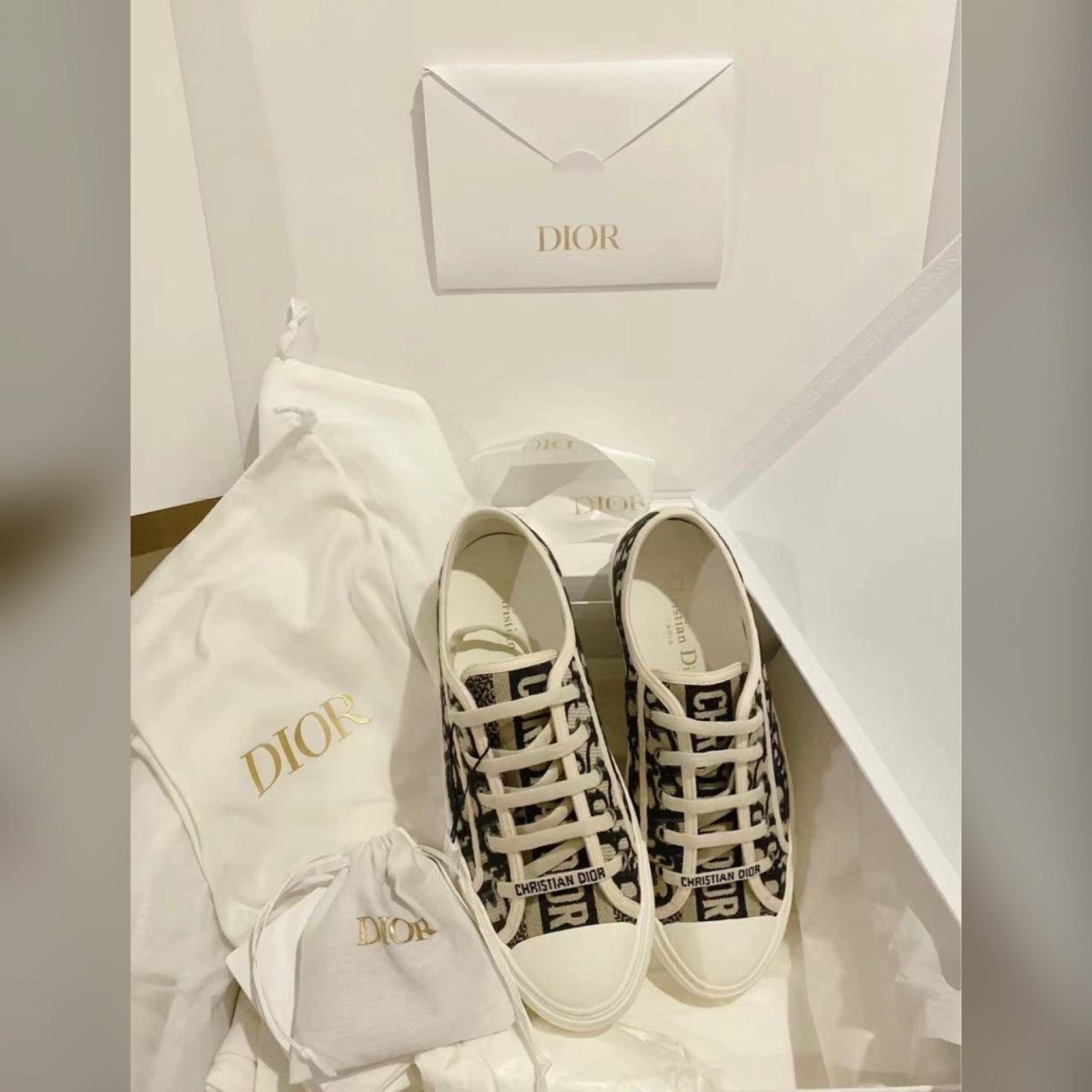 Christian Dior shoes