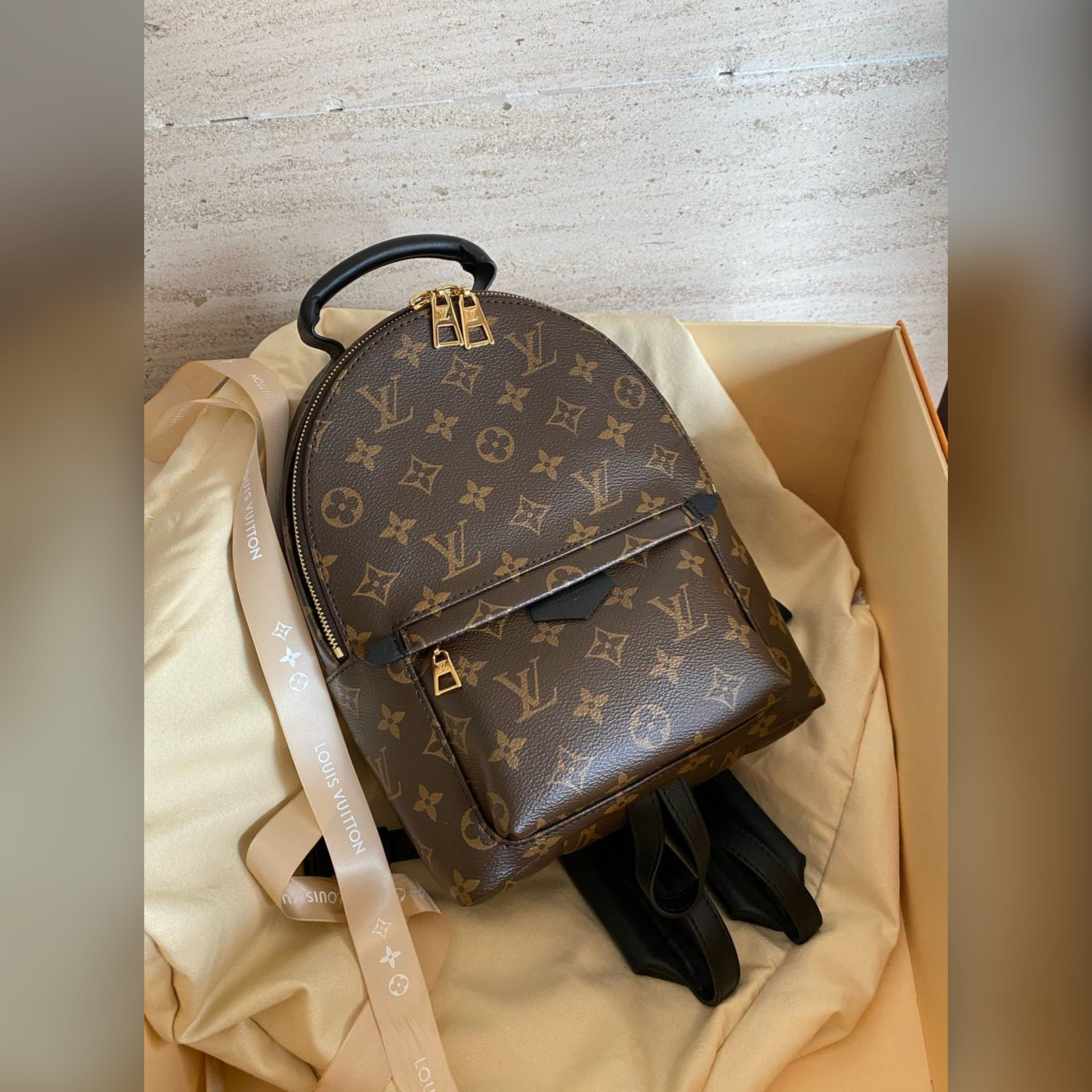 Palm Springs Louis Vuitton bags