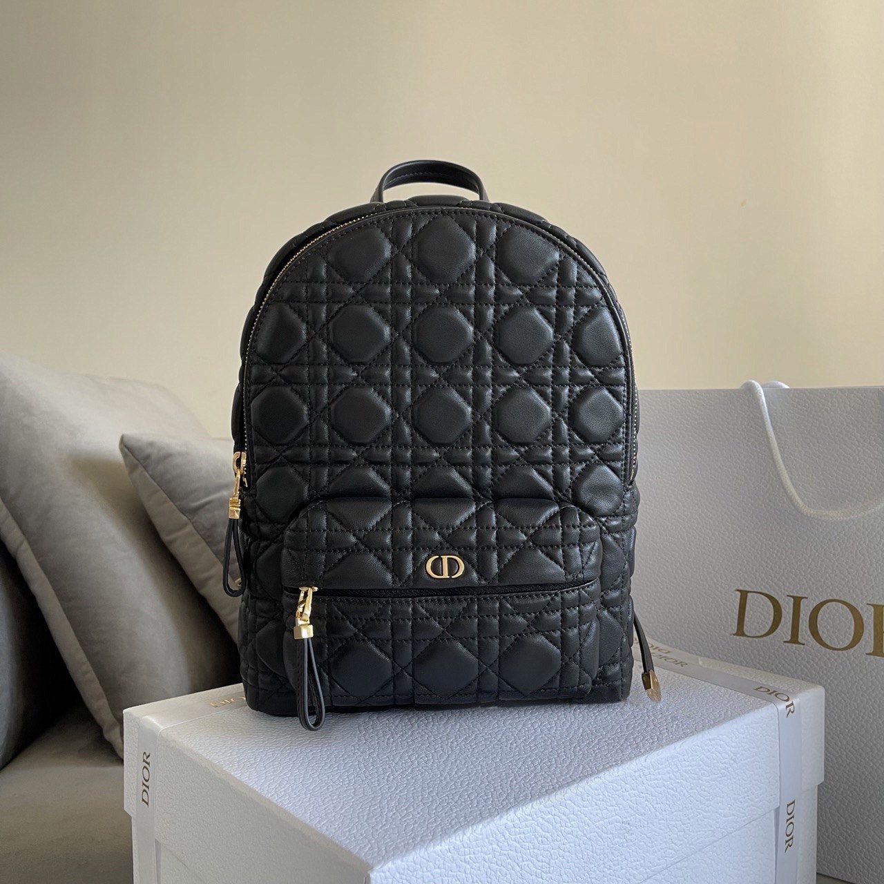 Christian Dior bag
