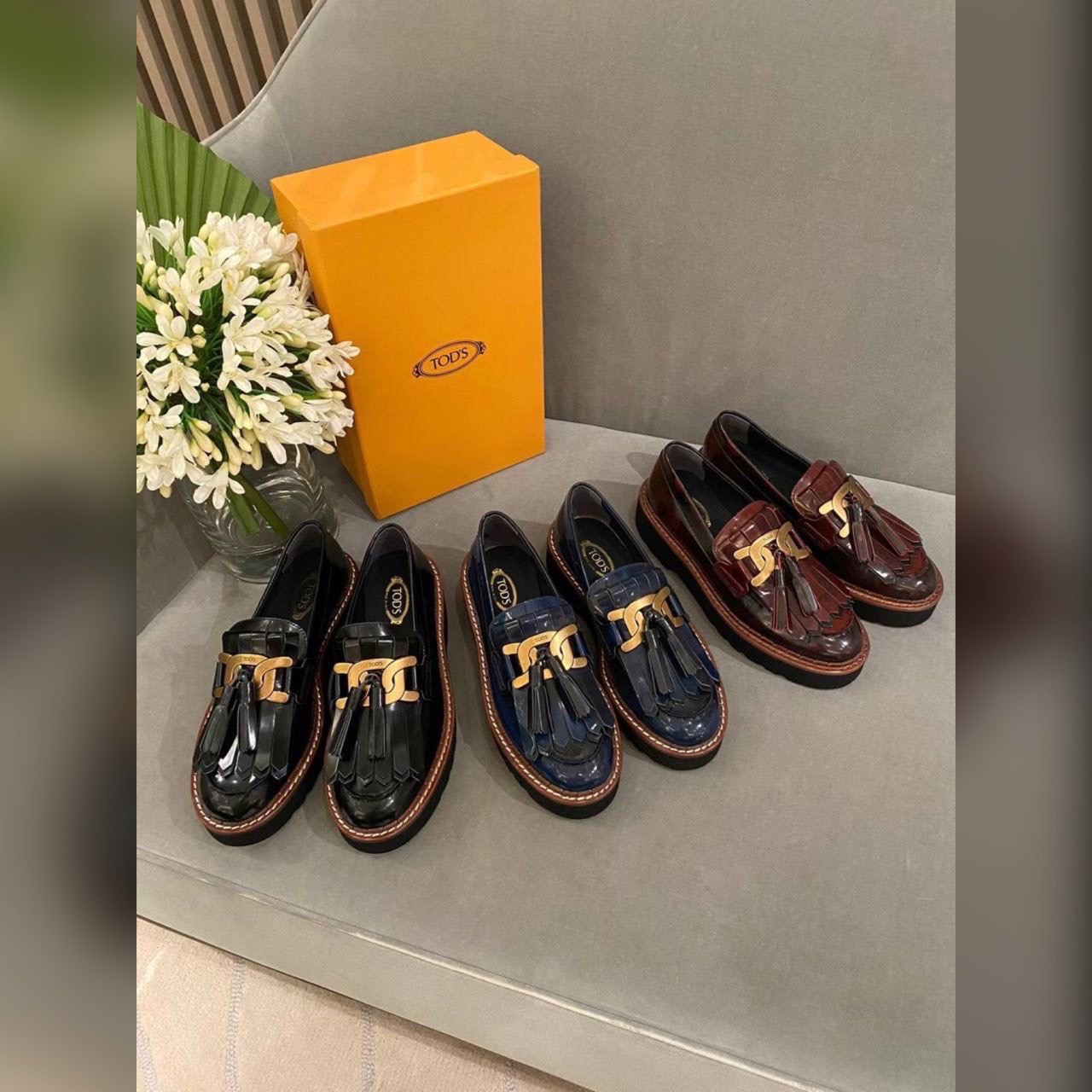 Tods shoes